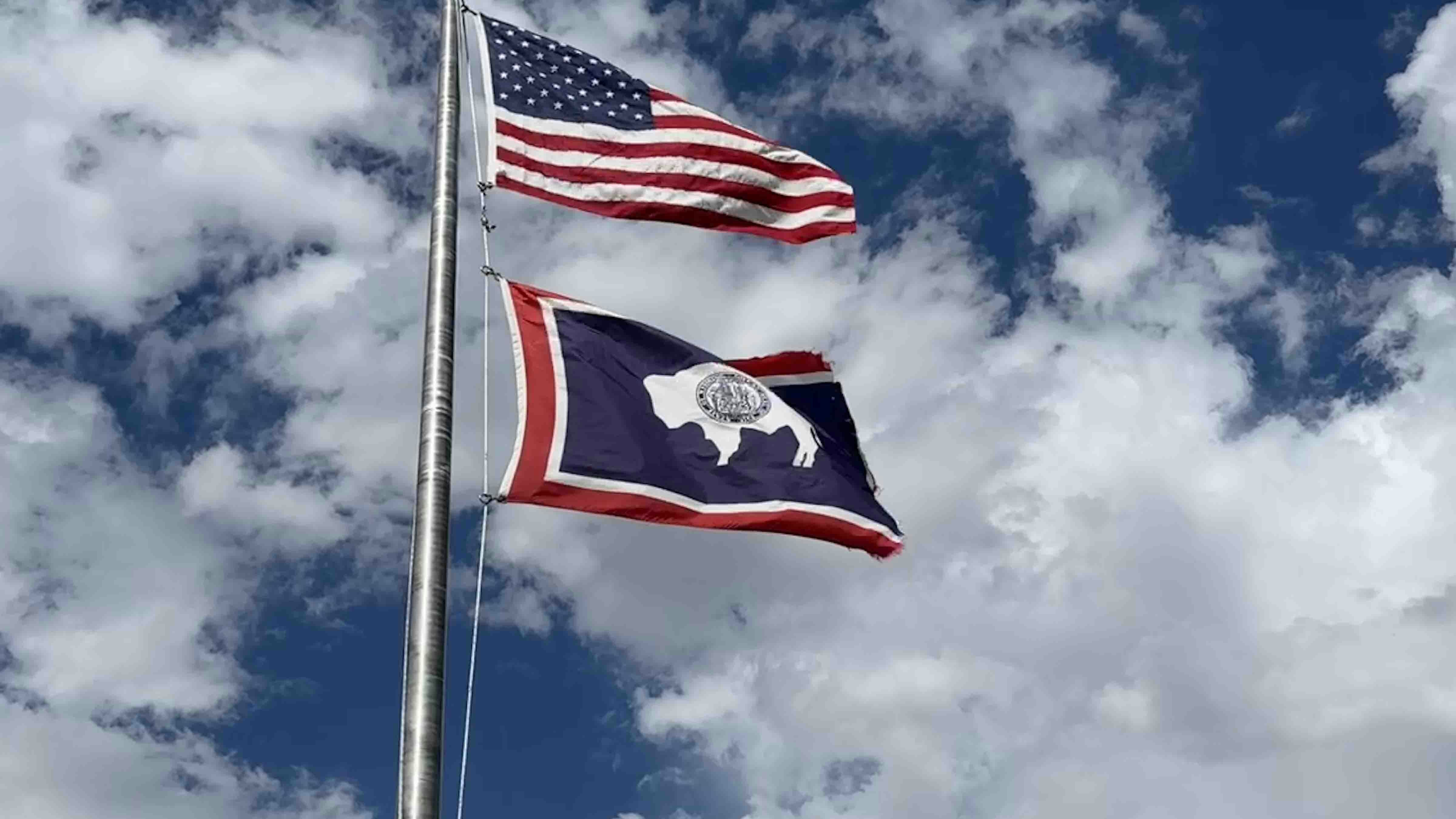 Flag 7 4 25