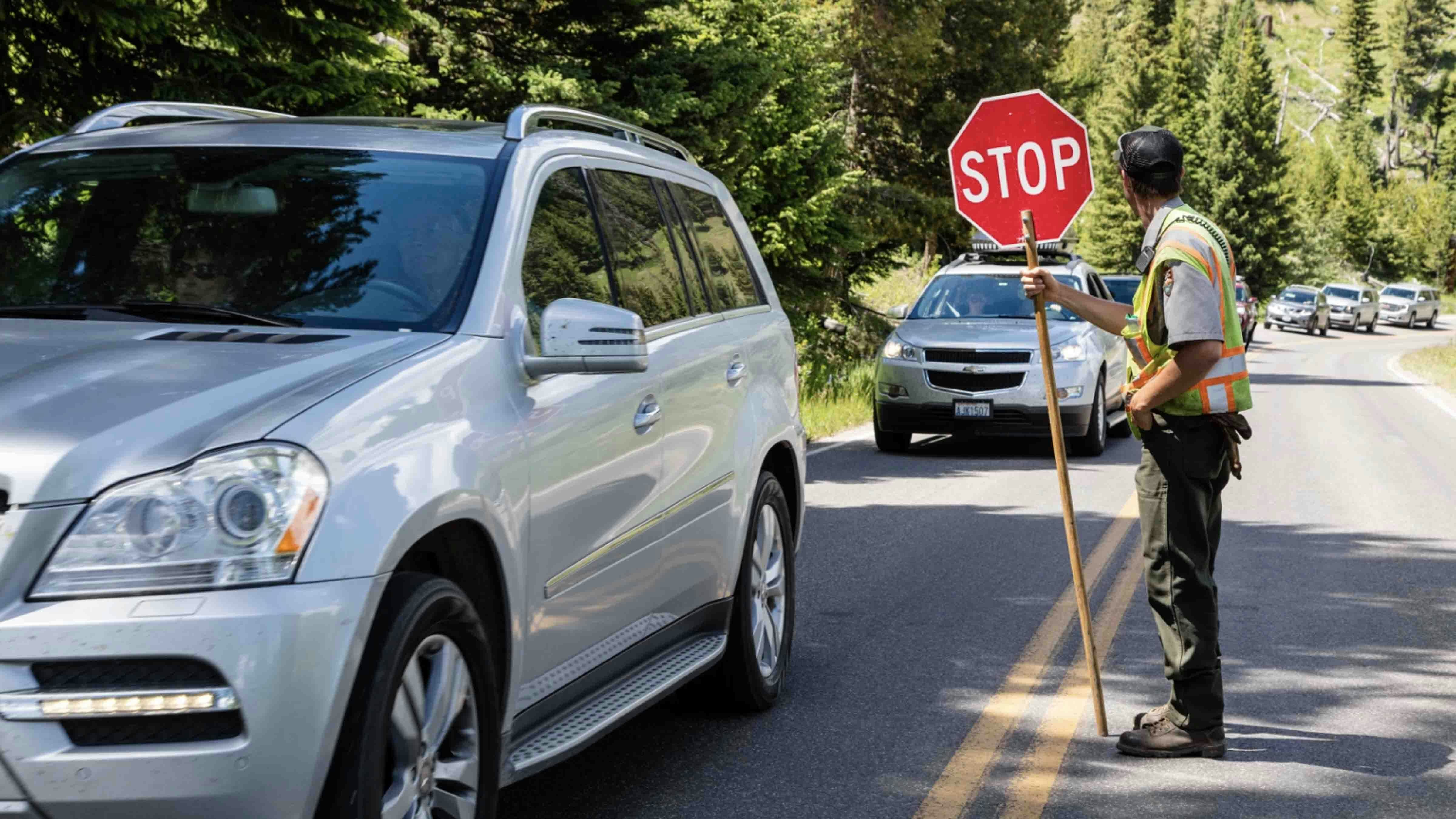 An Oregon pilot (not pictured) who said he was trying to find a bathroom when he impatiently hit a flagger with his Jeep in Yellowstone was sentenced to two years in prison on Monday. He said the incident “ruined” his vacation.