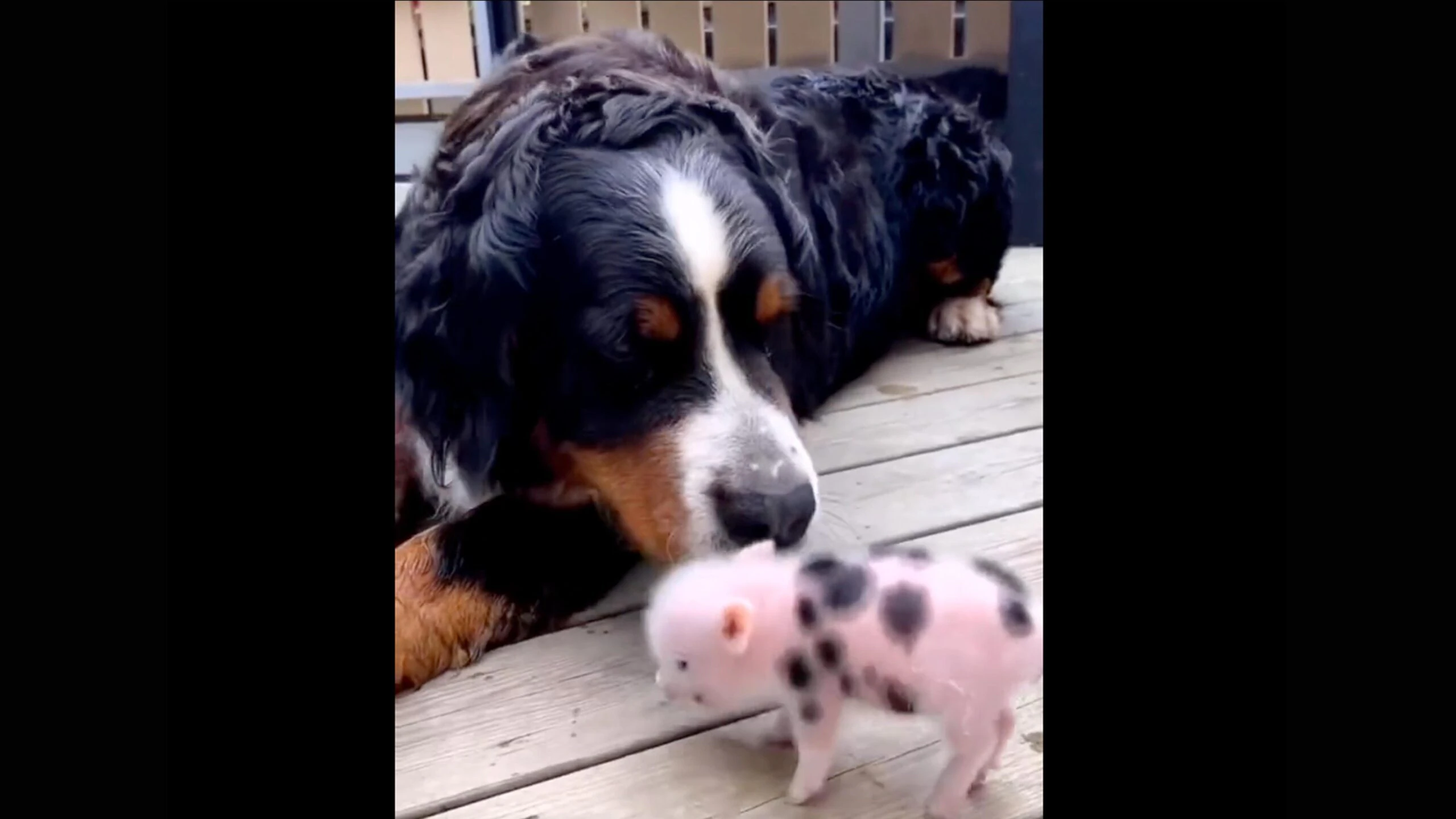 For the road 2 3 23 scaled