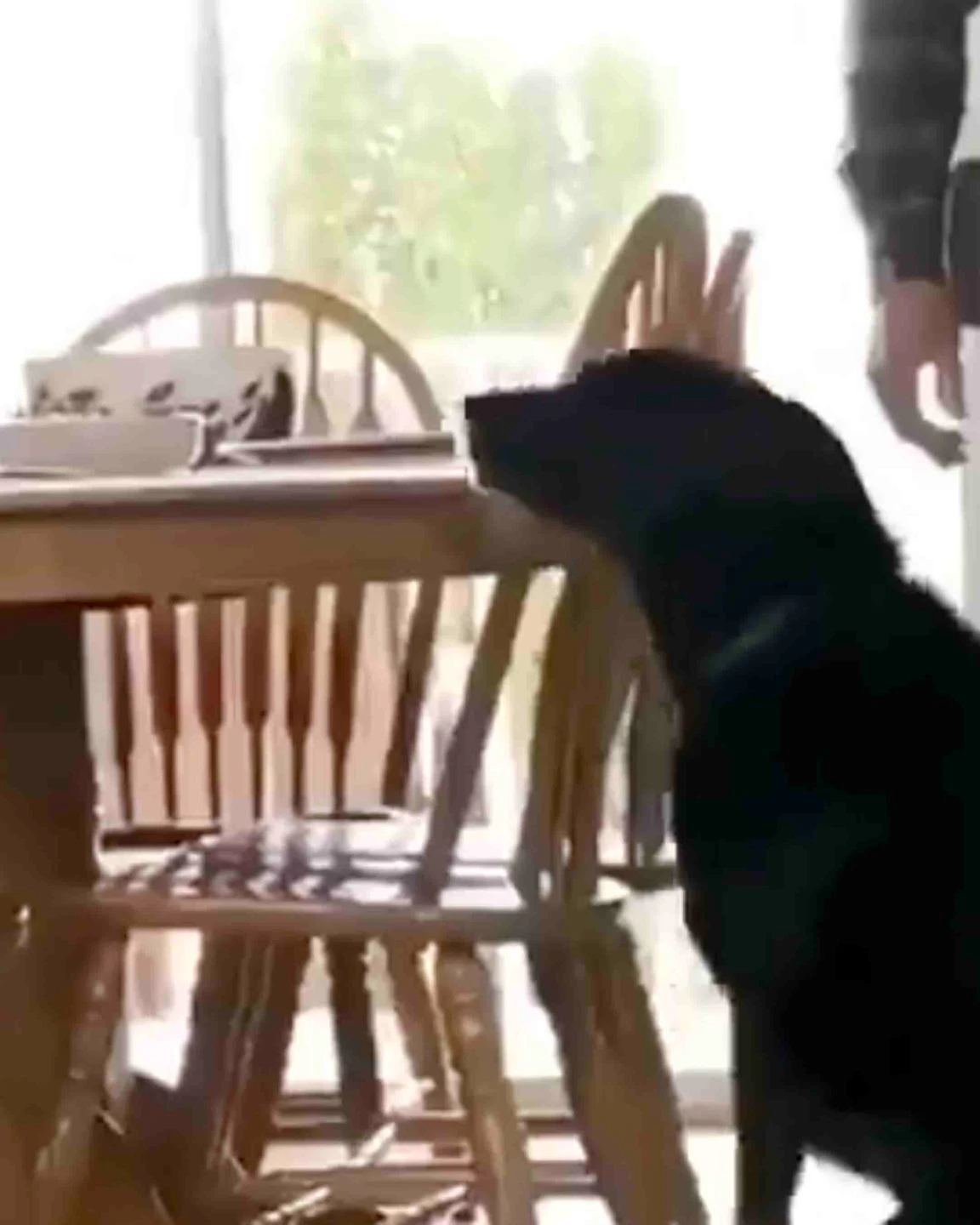 For the road 9 22 22 no play scaled