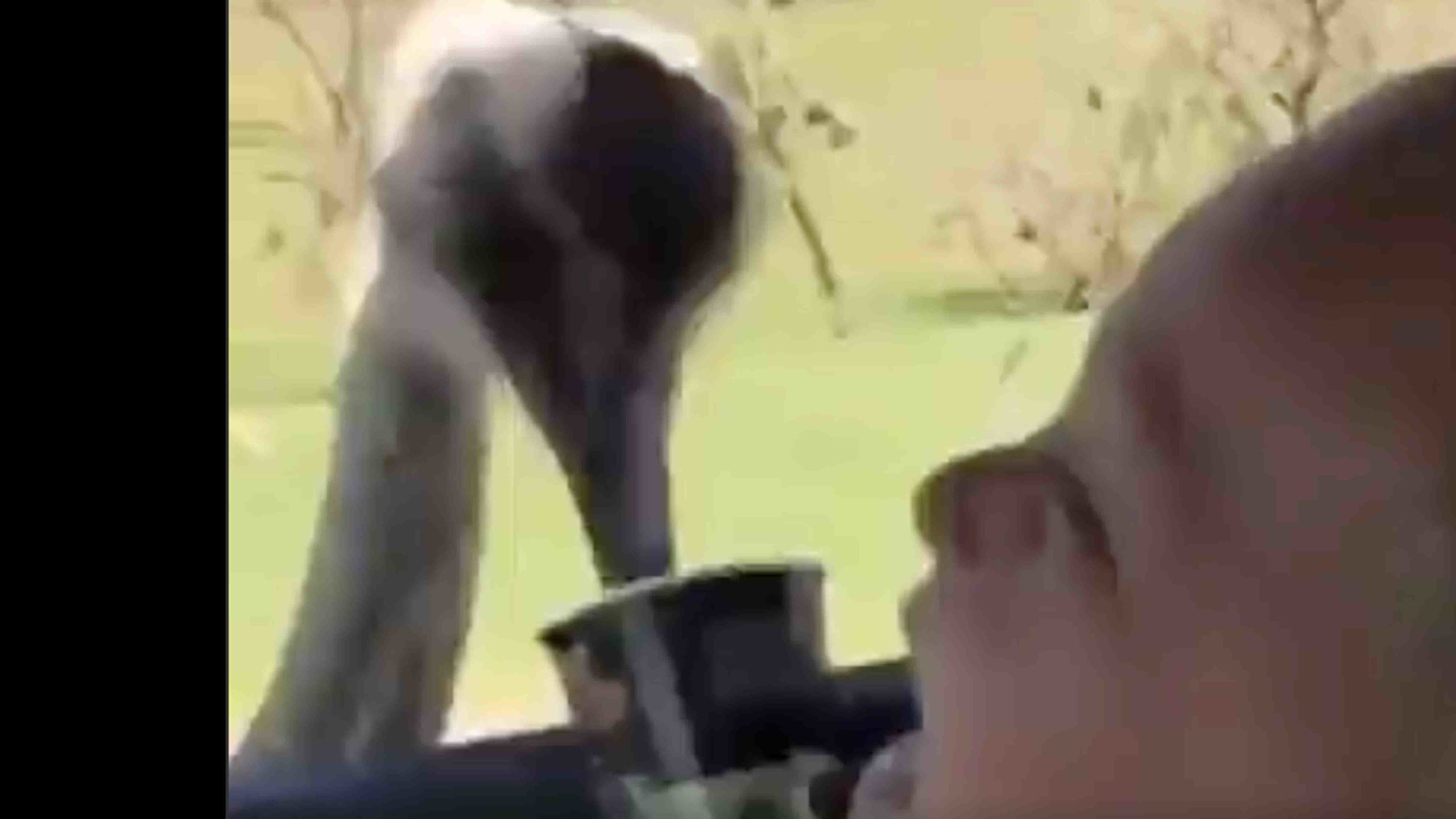 For the road no play 10 19 22 scaled