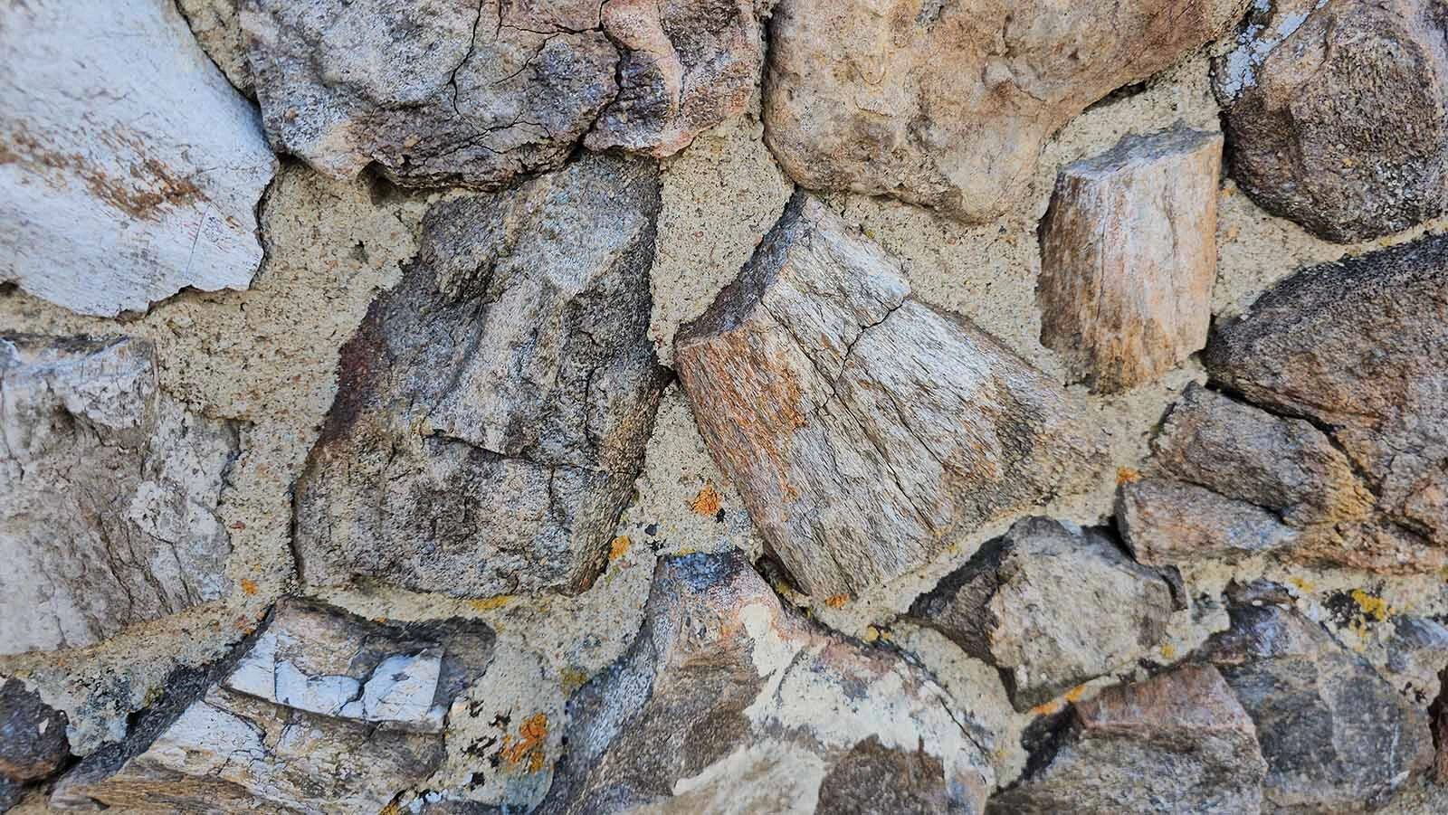 More than 6,000 dinsoaur bones were used to build the Fossil Cabin that's 5 miles from Medicine Bow. The building weighs more than 100,000 pounds.