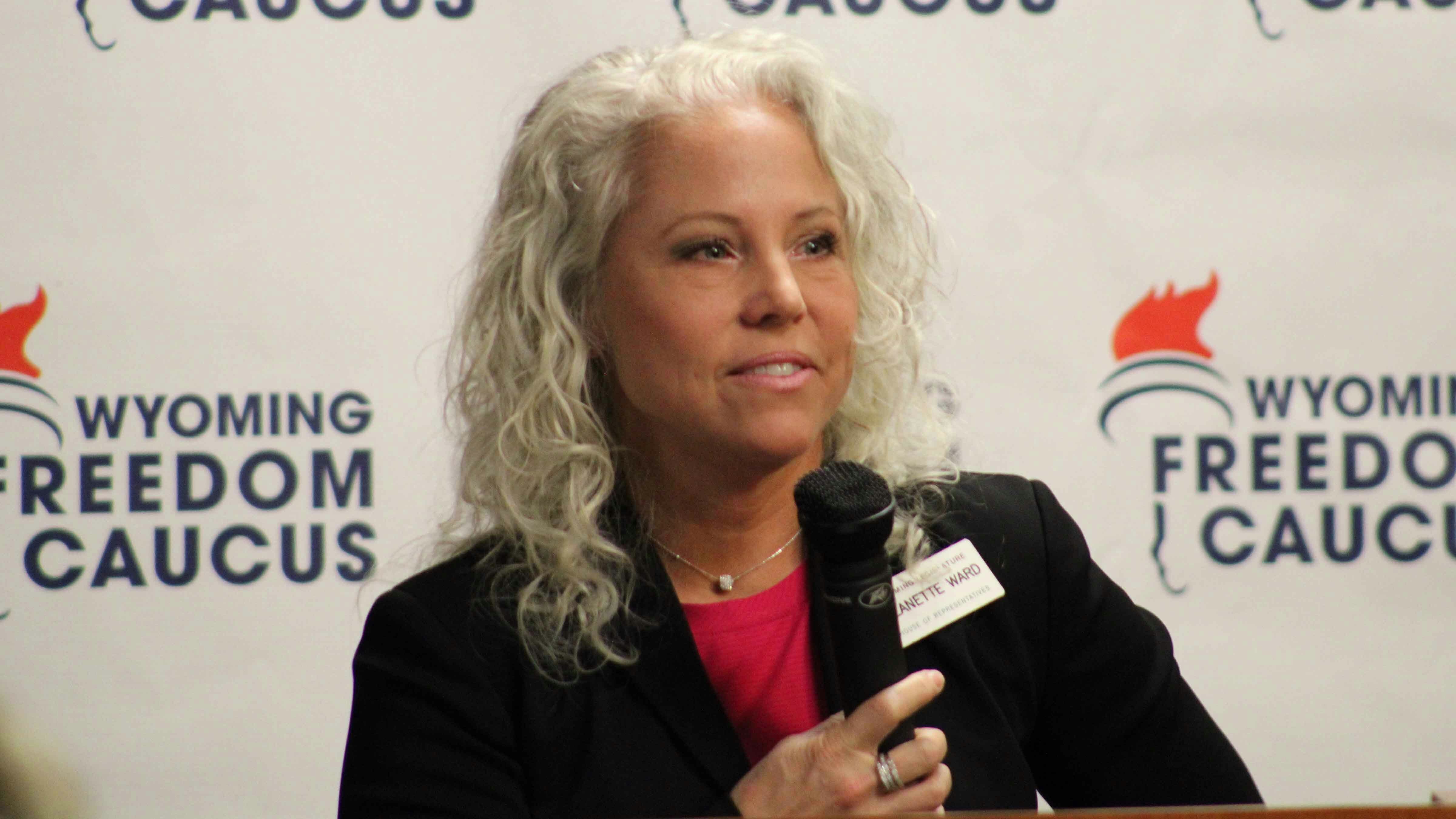 Rep. Jeanette Ward speaks at the Freedom Caucus town hall on Saturday.