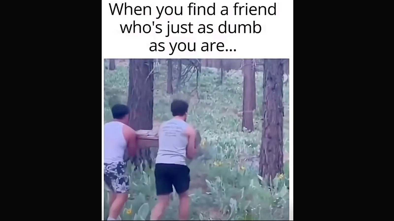 Friendship 8 30 26