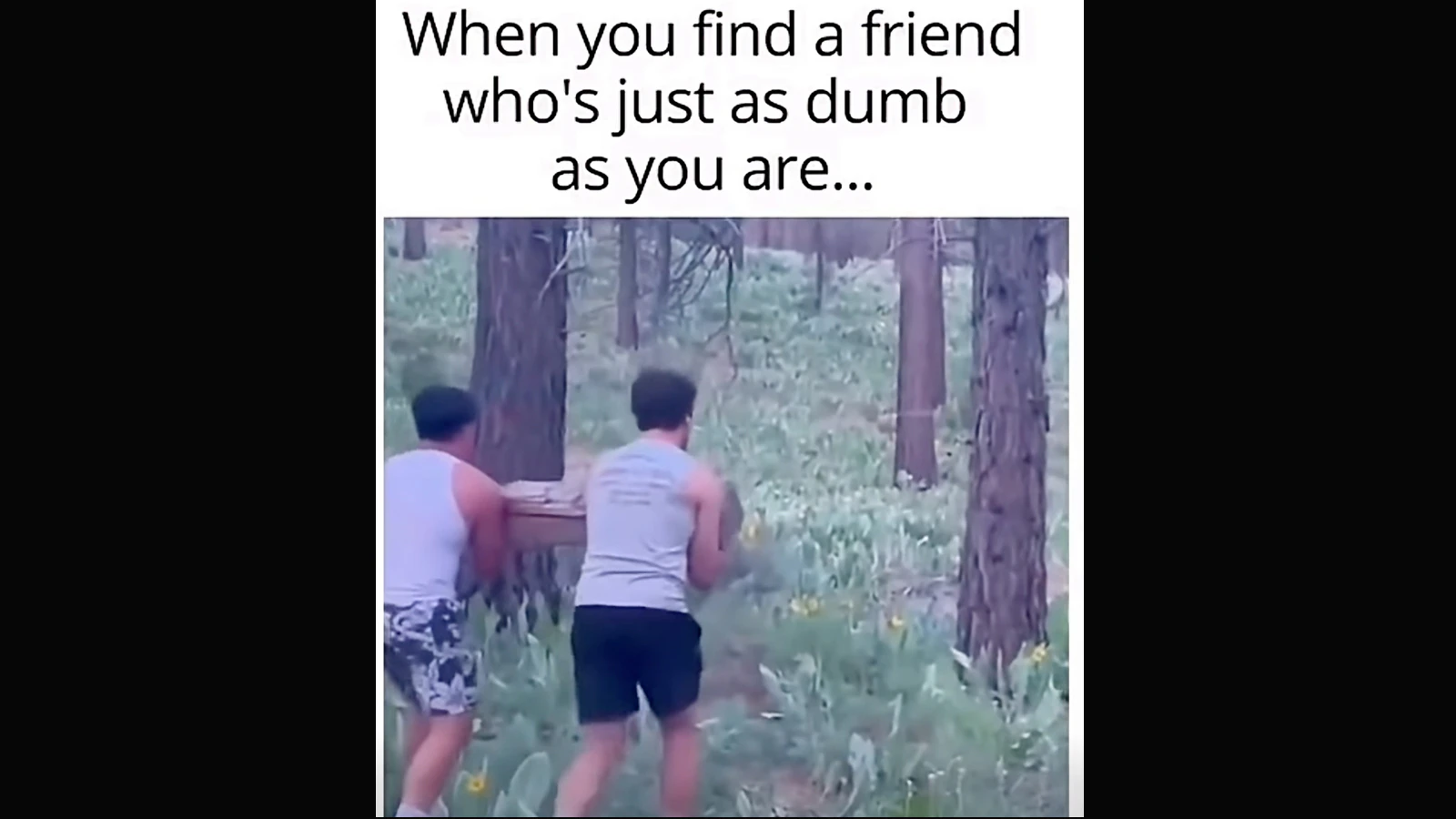 Friendship 8 30 26