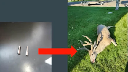 Forensic evidence was gathered from arrows to catch a serial poacher in Cody