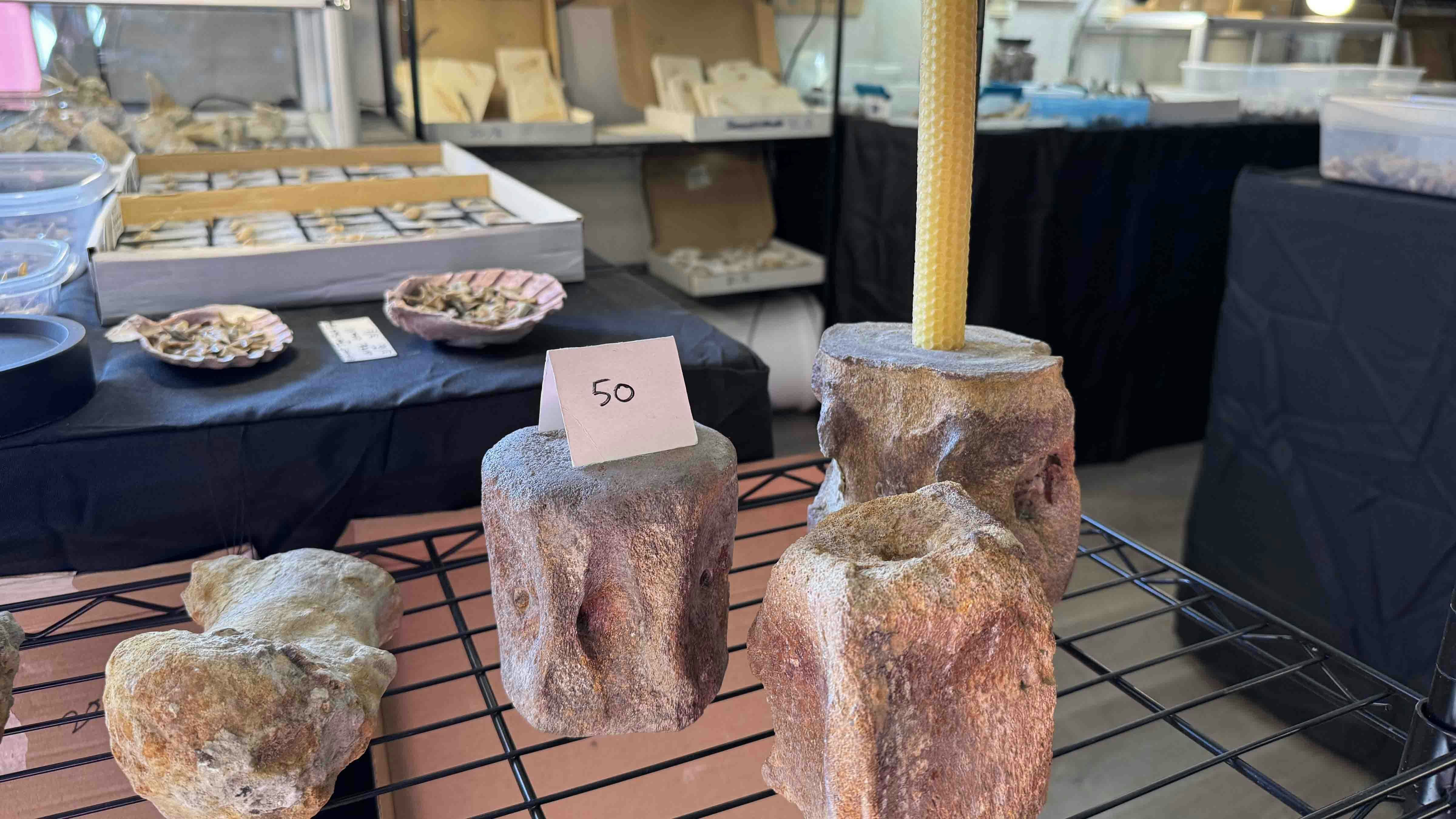 Dinosaur vertebrae converted into candlestick holders for sale at the 2025 Tucson Gem and Mineral Show.