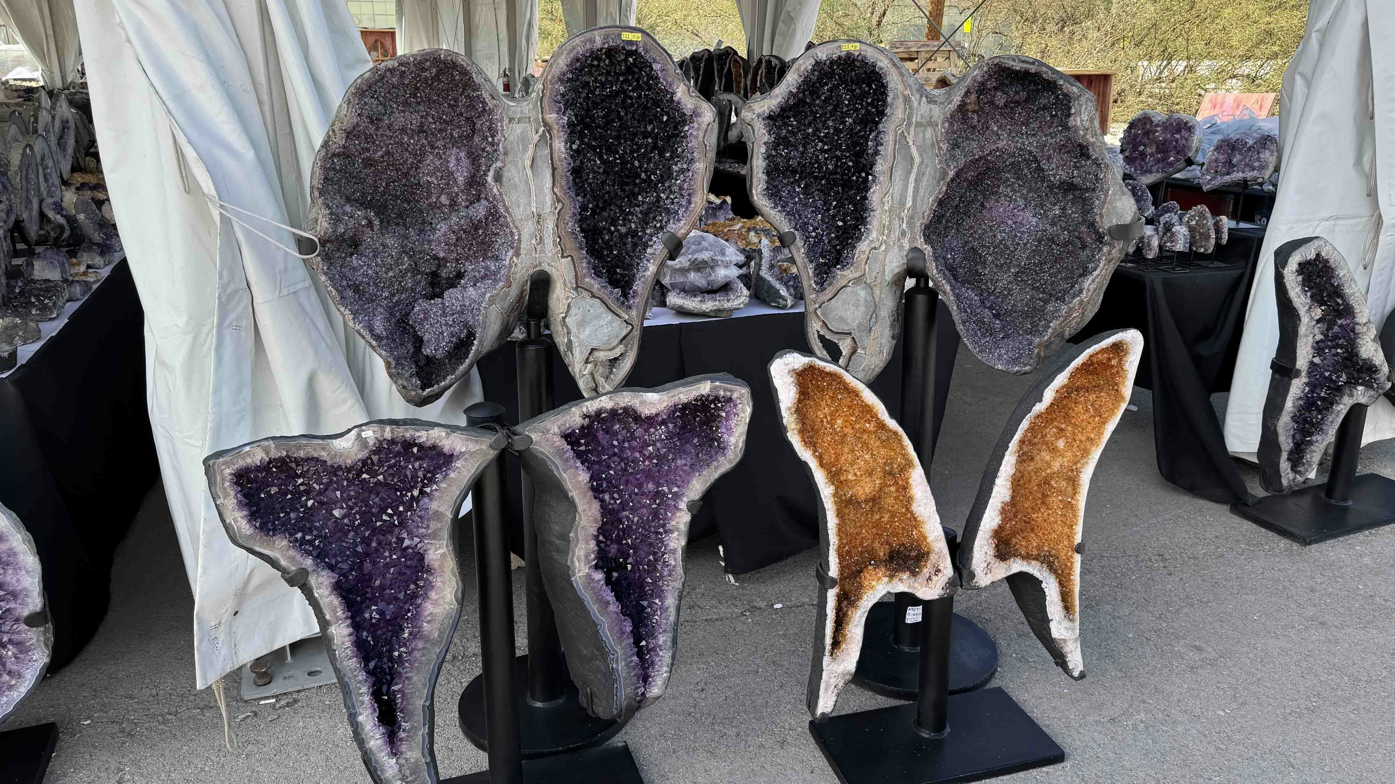 Various amethysts outside a tent at the 22nd Street Mineral, Fossil, and Gem Show, part of the 2025 Tucson Gem and Mineral Show.