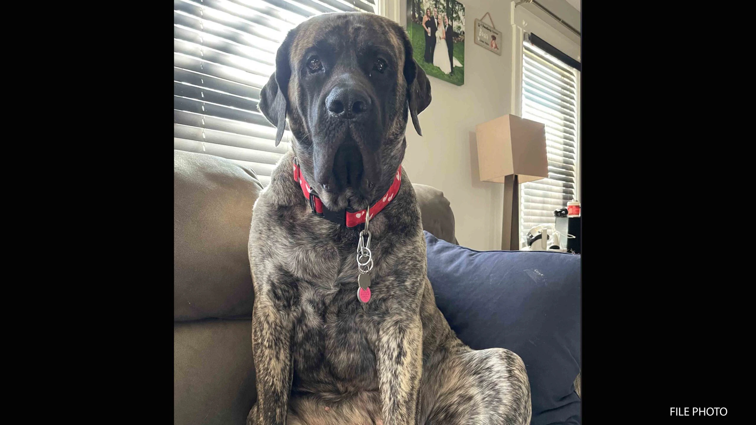 Georgia 3 3 25 22 scaled