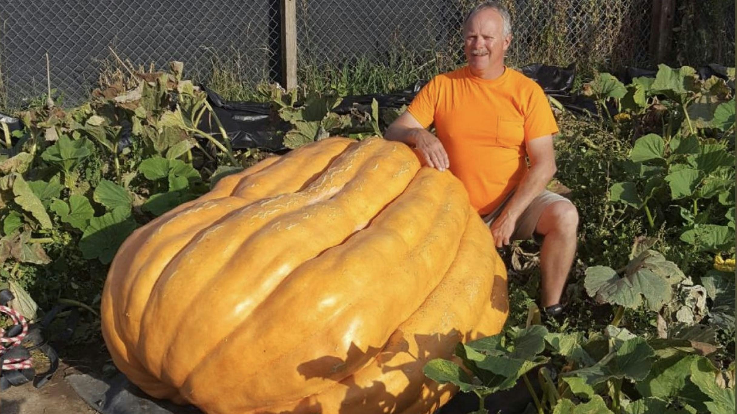 Giant pumpkin jay richard 5 8 23
