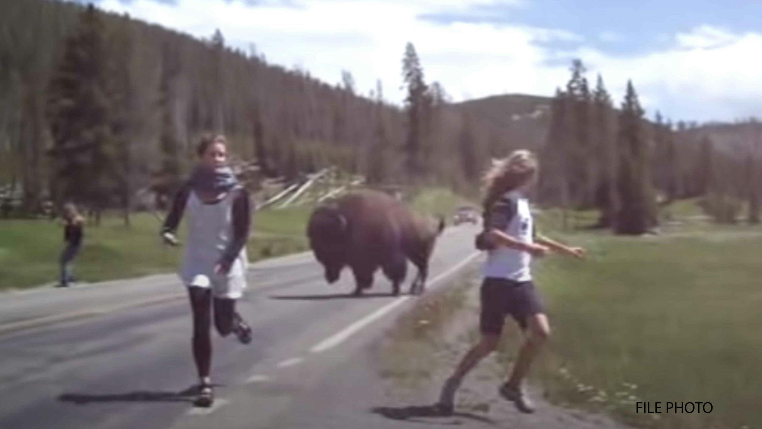 Girls running from bison scaled