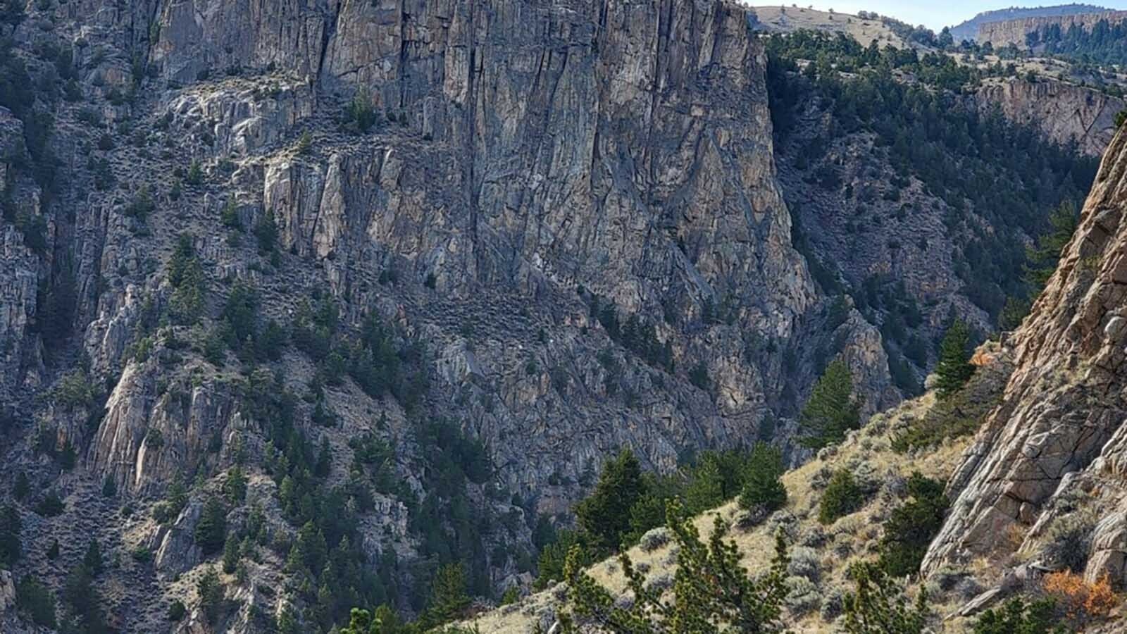 : Russell Goolsbey of Powell drew a nearly impossible-to-get mountain goat tag. He and his dad, Bill, hunted in the steep, unforgiving Clarks Fork Canyon in northwest Wyoming.