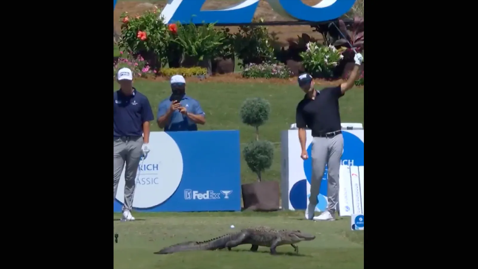 Golf no play 4 27 26