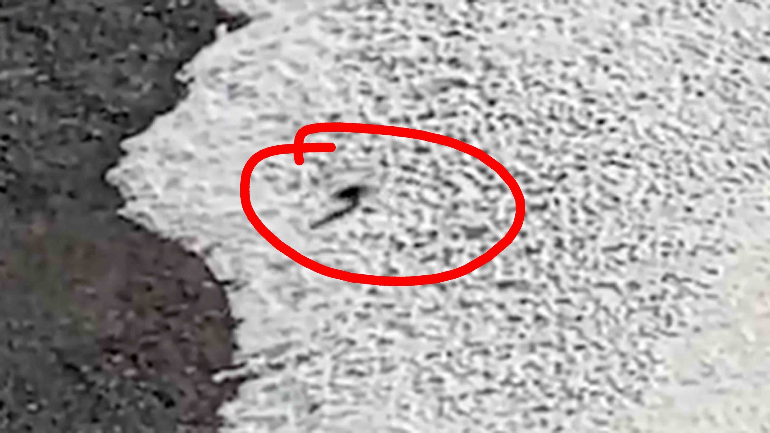 Grainy blip 2 7 7 22 scaled