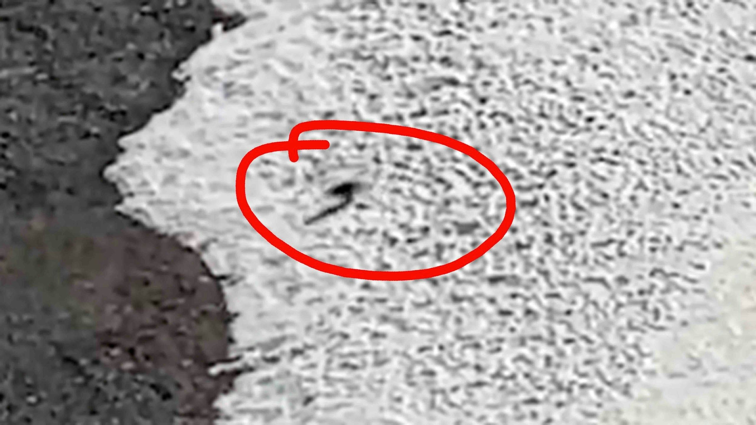 Grainy blip 2 7 7 22 scaled