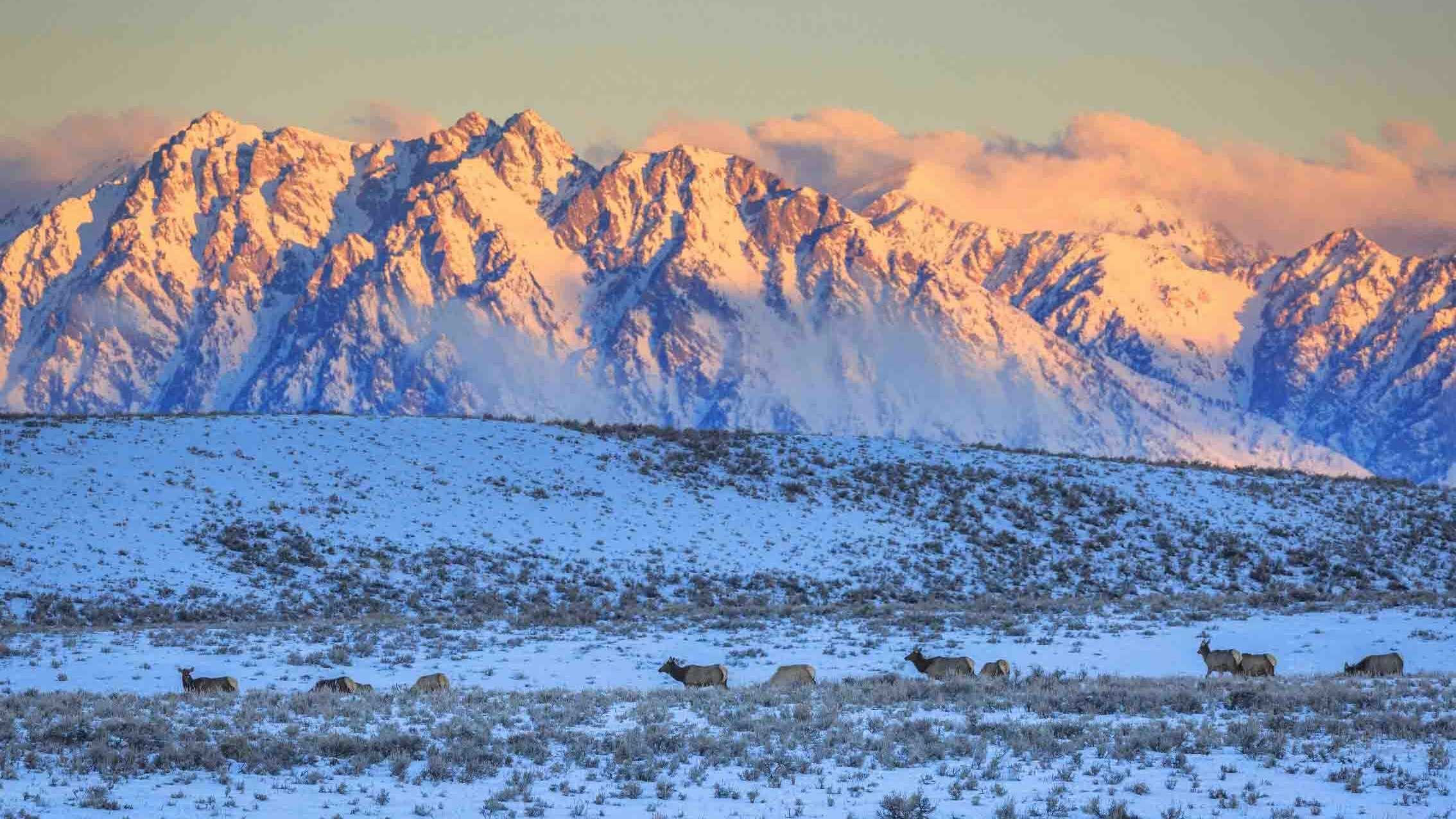 Grand teton national park 2 16 24