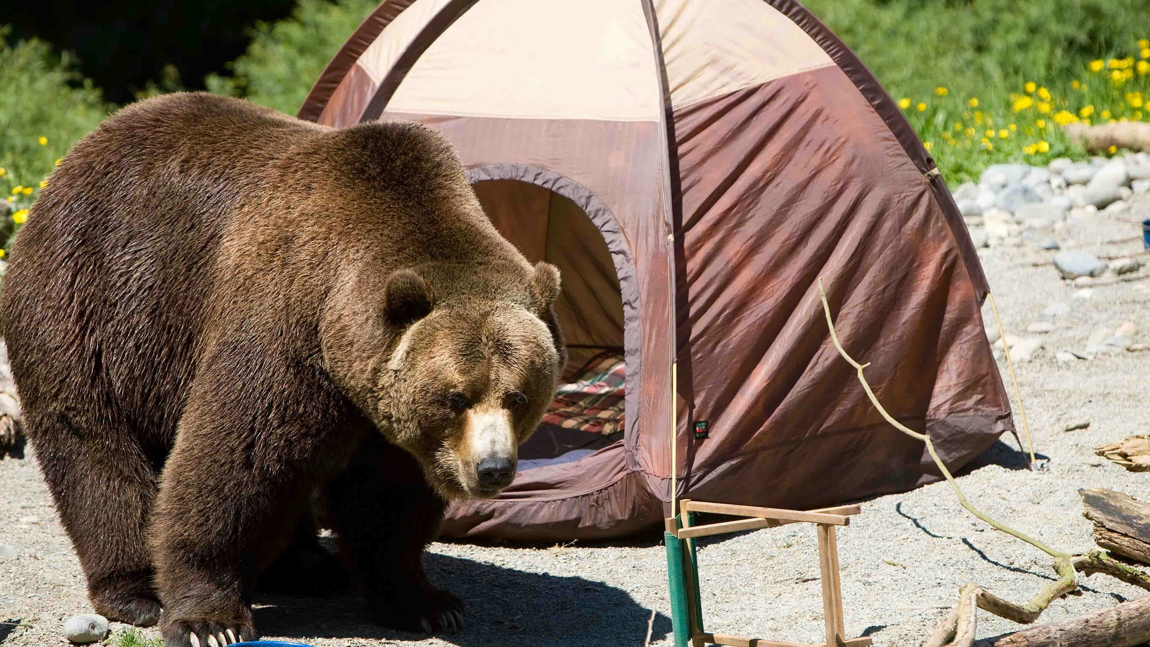 Grizzly campground 9 29 23