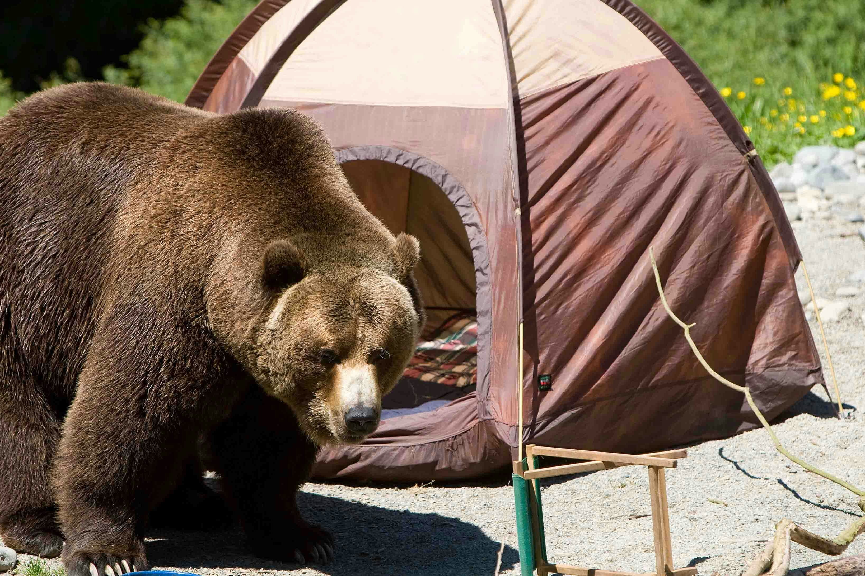 Grizzly campground 9 29 23