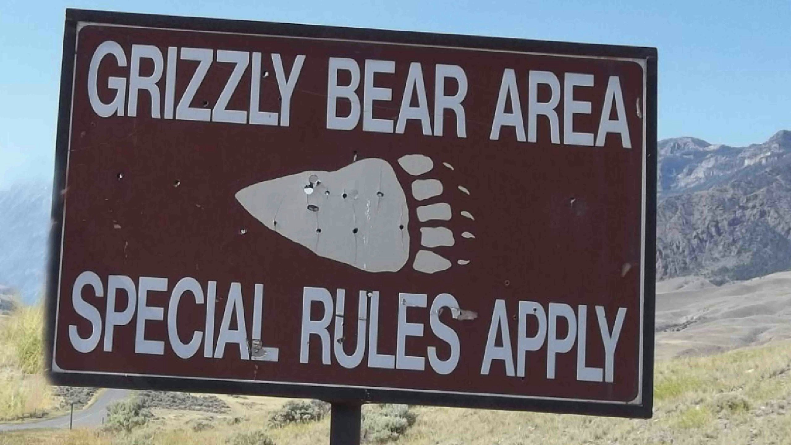 Grizzly sign scaled