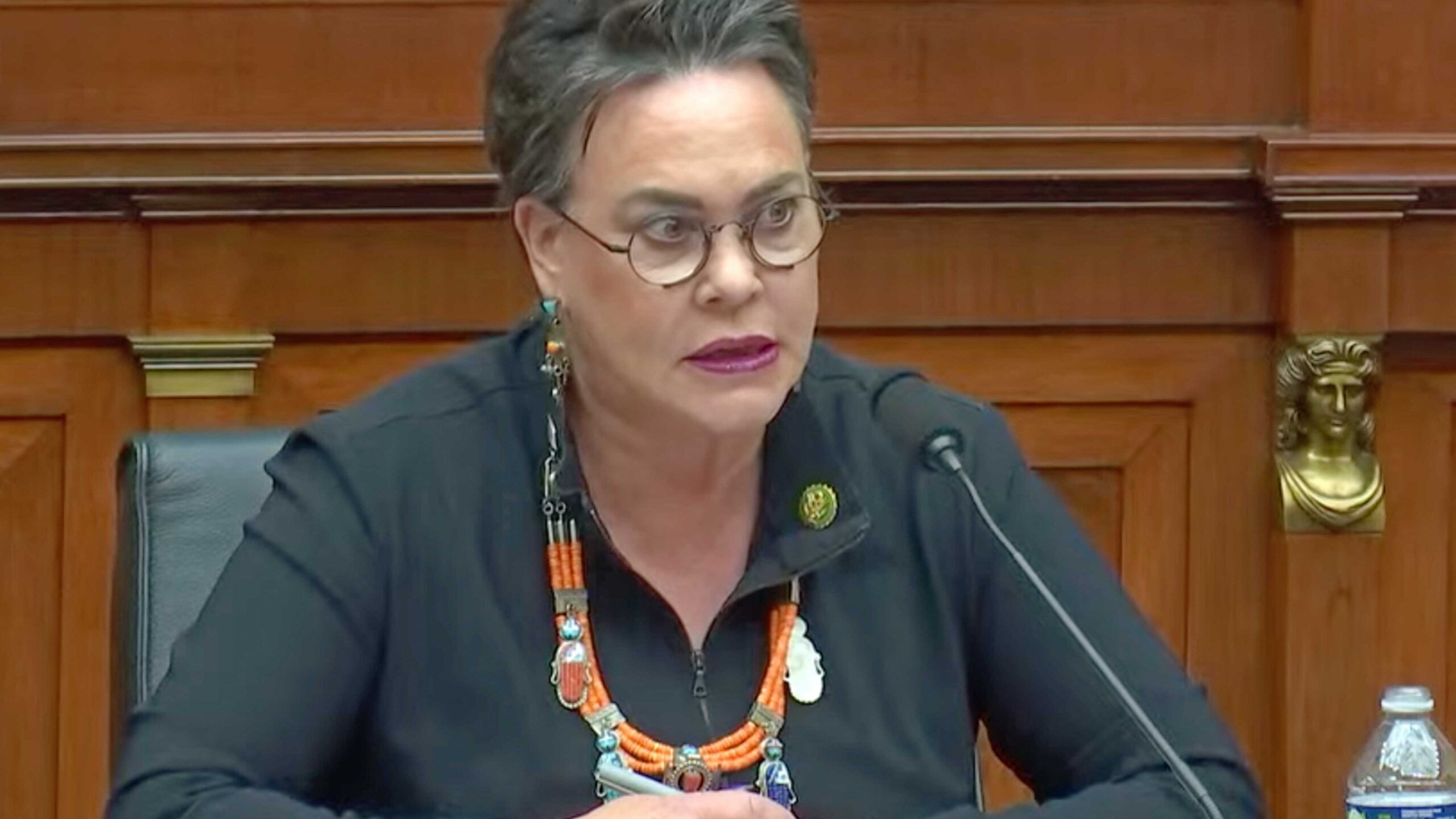 Hageman panel 3 24 23 scaled