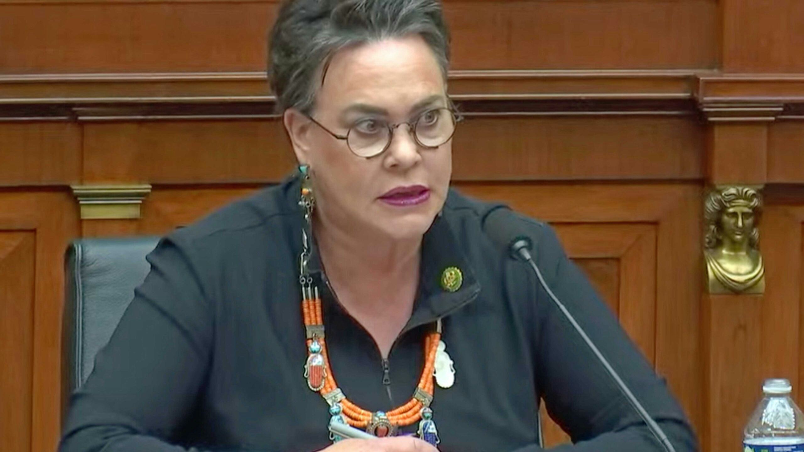 Hageman panel 3 24 23 scaled