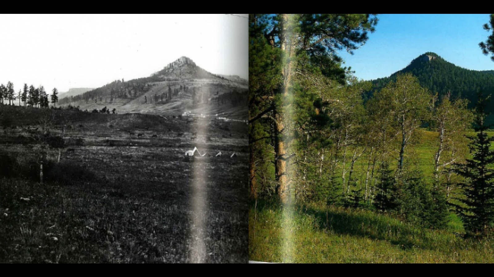 Hageman roadless 1 3 5 26