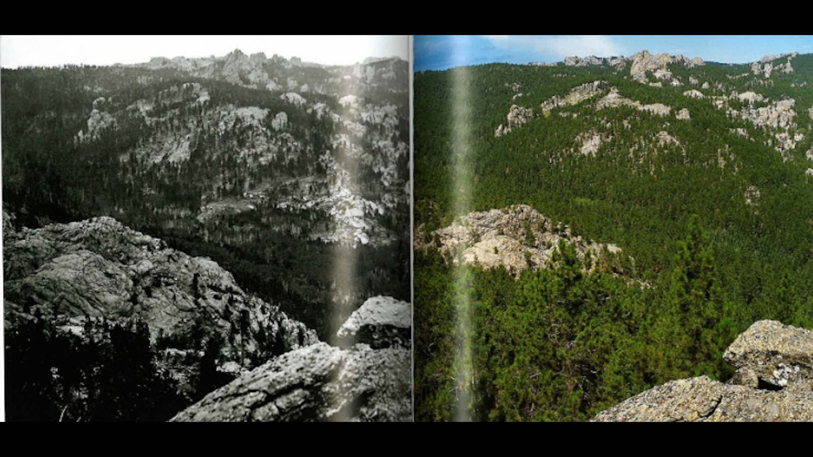 Hageman roadless 2 3 5 26