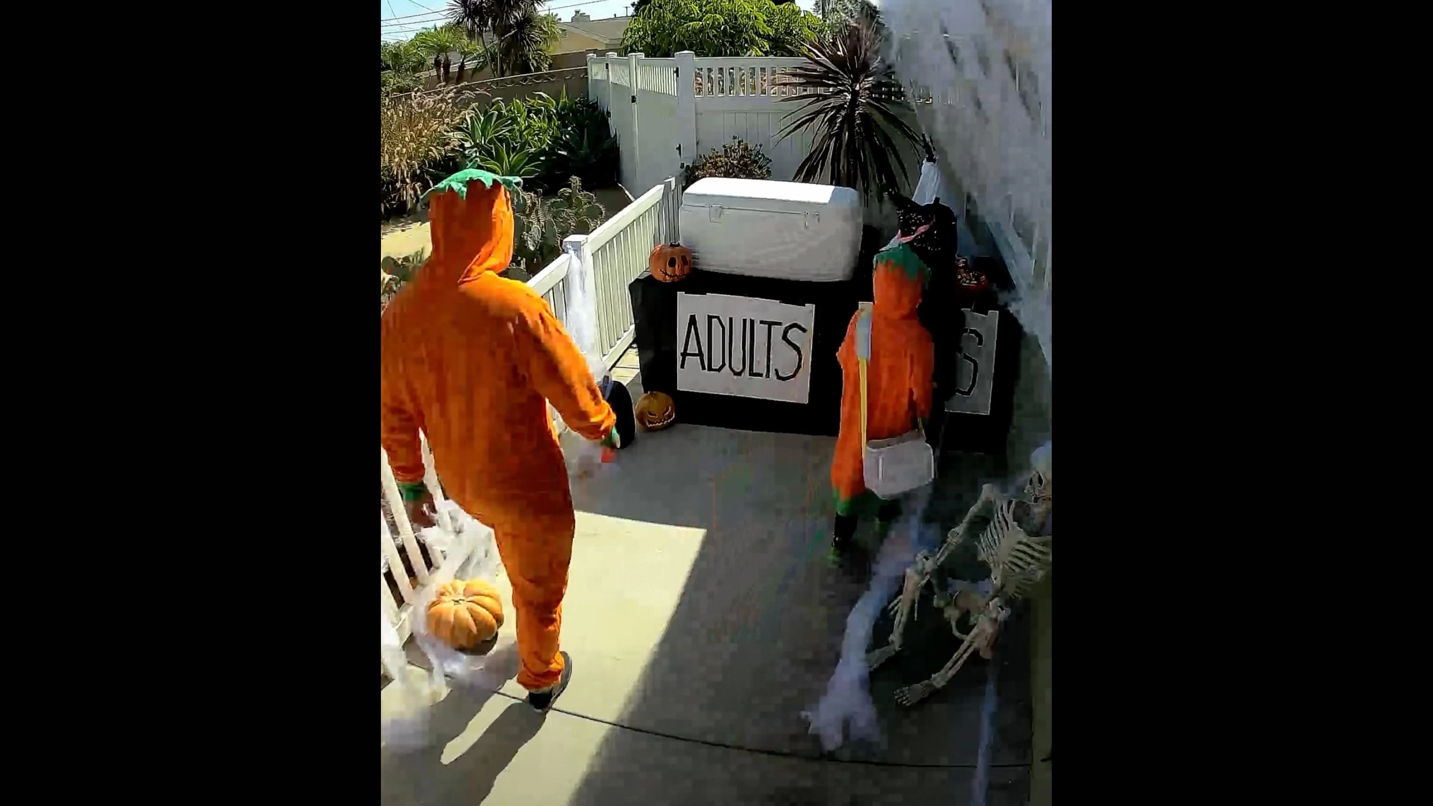 Halloween 10 24 26