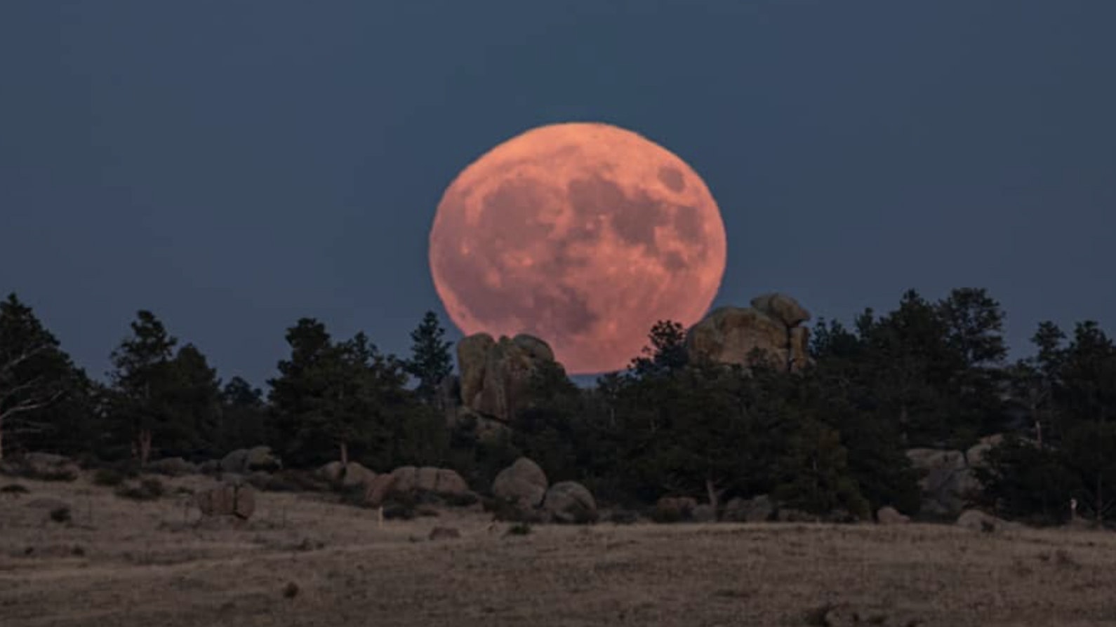 Harvest moon at Curt Gowdy State Park
