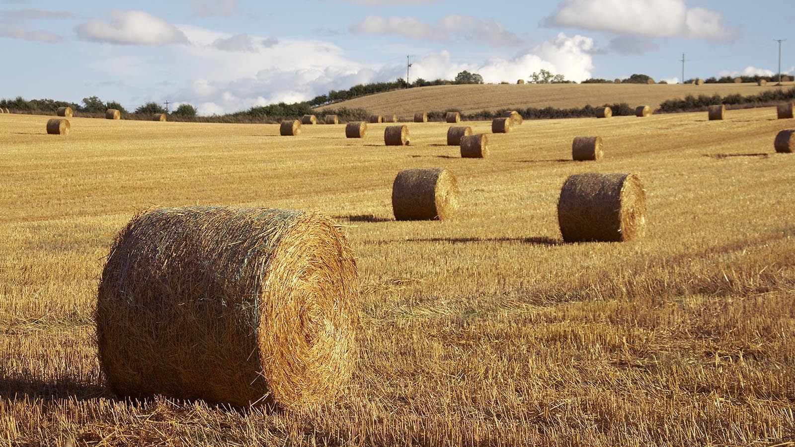 Hay bales 10 20 22