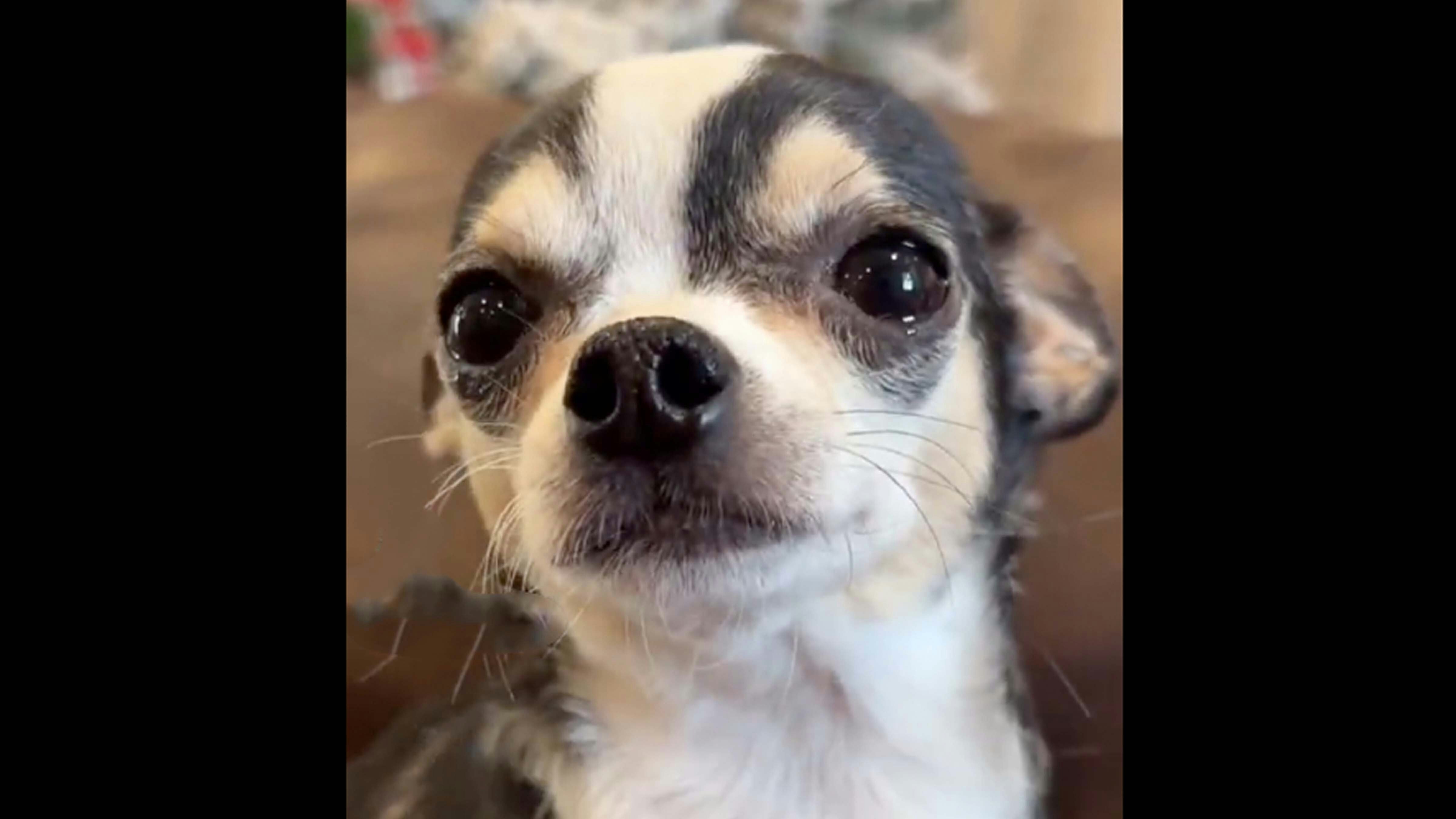 Helpful information 1 11 26