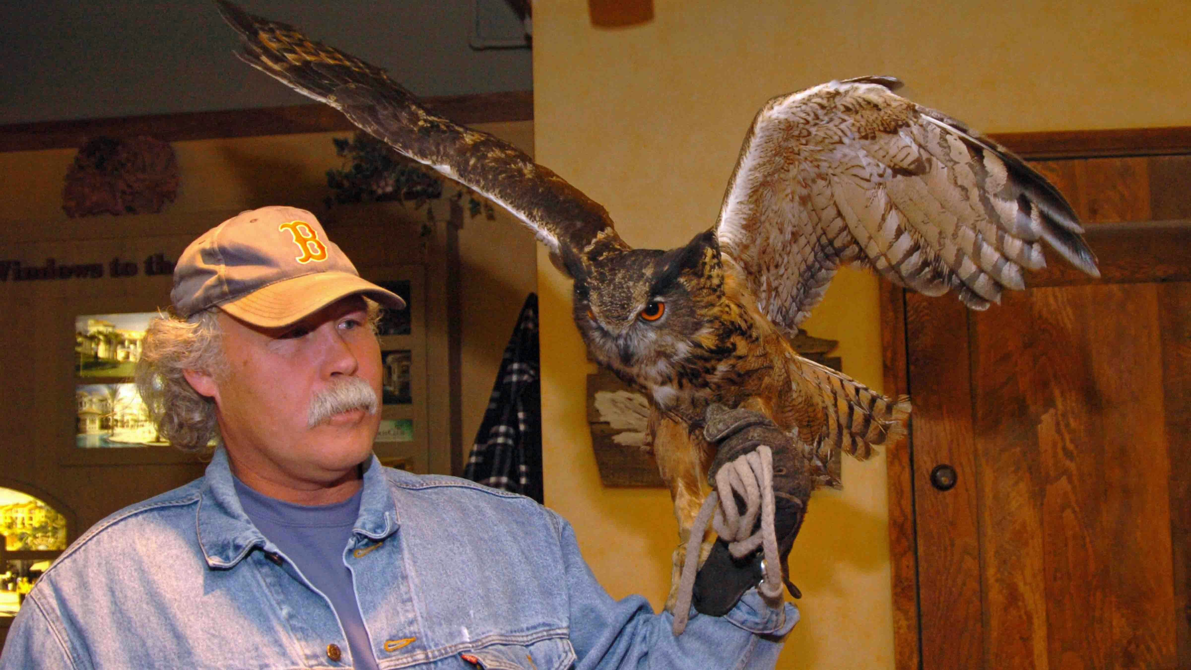 Jeff Shelburg and "Hoot" the owl at the Sundance Film Festival - Atmosphere - Day 7 in Park City, Utah, United States.