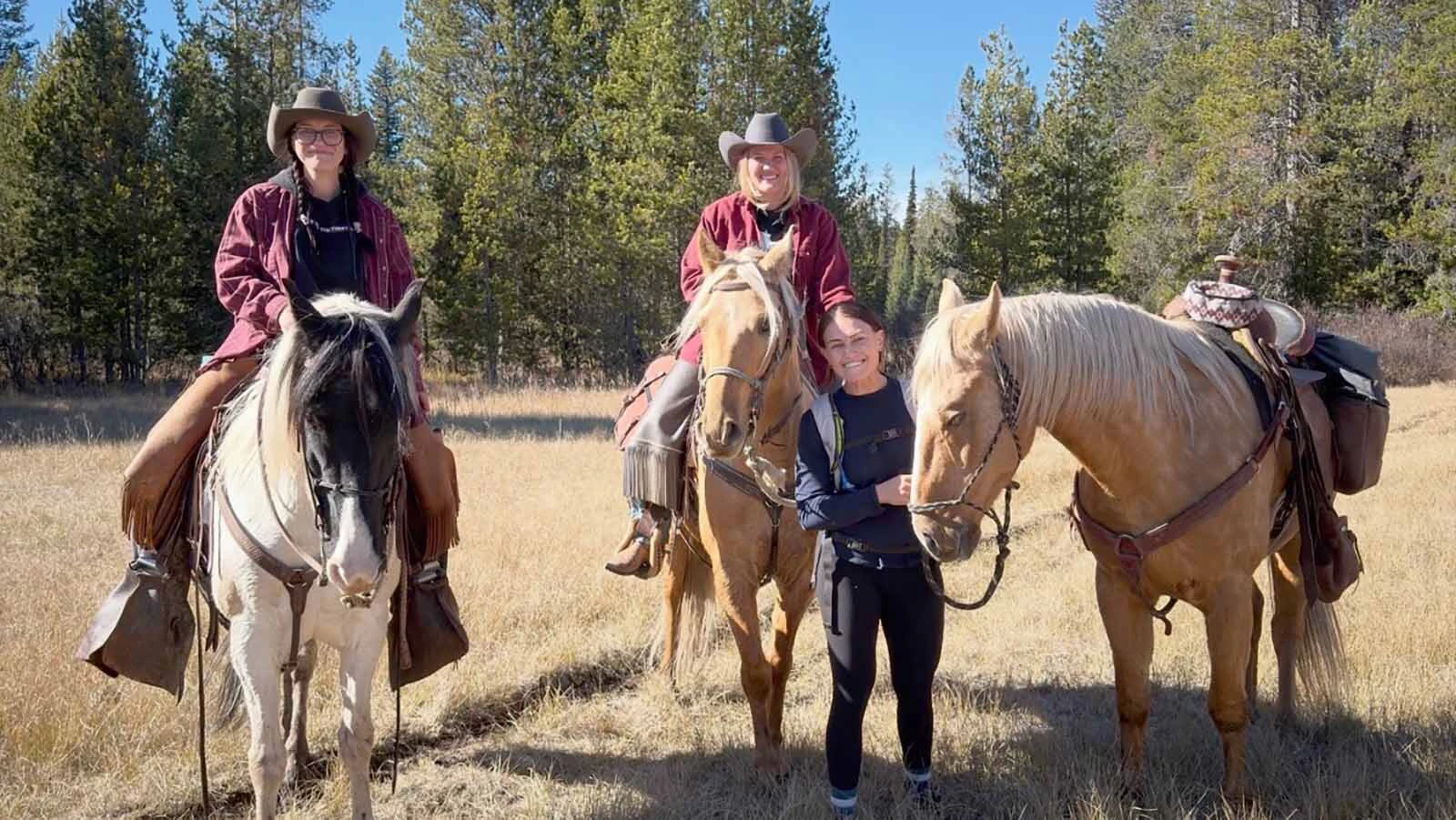 Sue, the fully tackled palomino, in the Bechler Region of Yellowstone National Park shortly after her was found and rescued on Friday.