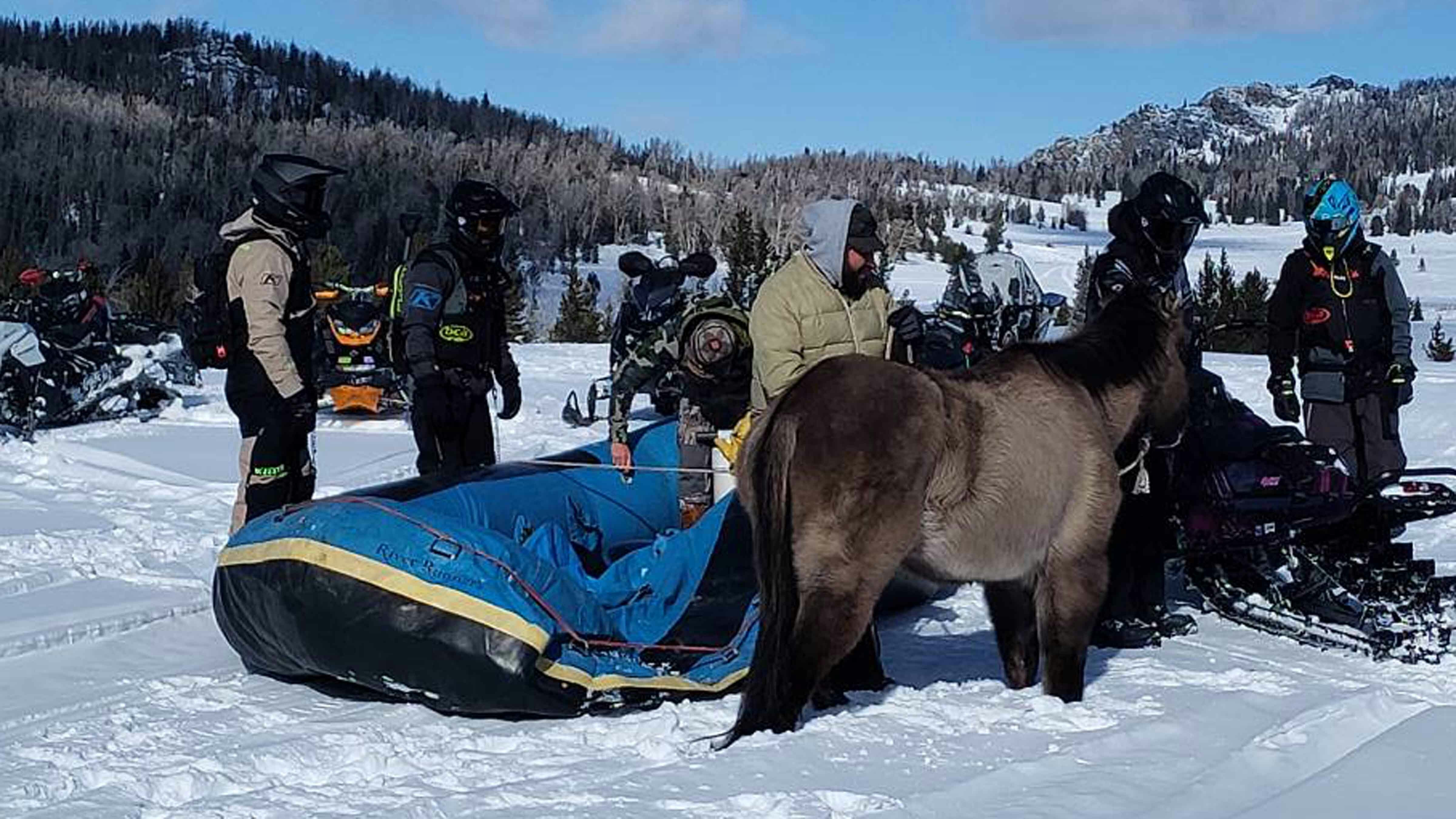 Mouse the horse had been missing since July 2025, only to be found alive by snowmobilers in the Wind River Mountains. Several people, specialized snow machines, and a river raft were enlisted to reach and rescue the horse.