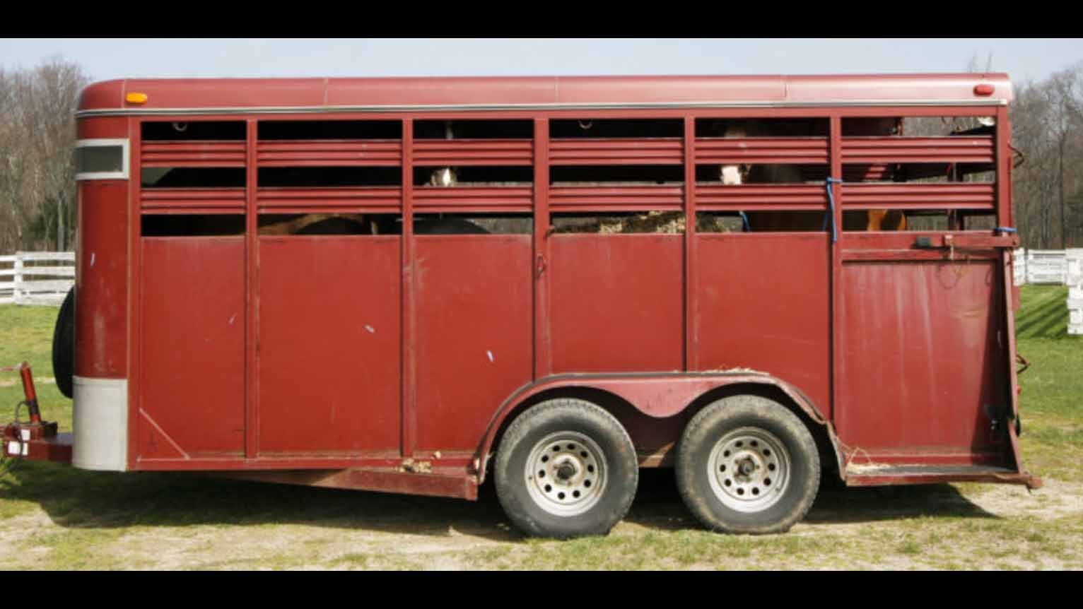 Horse trailer