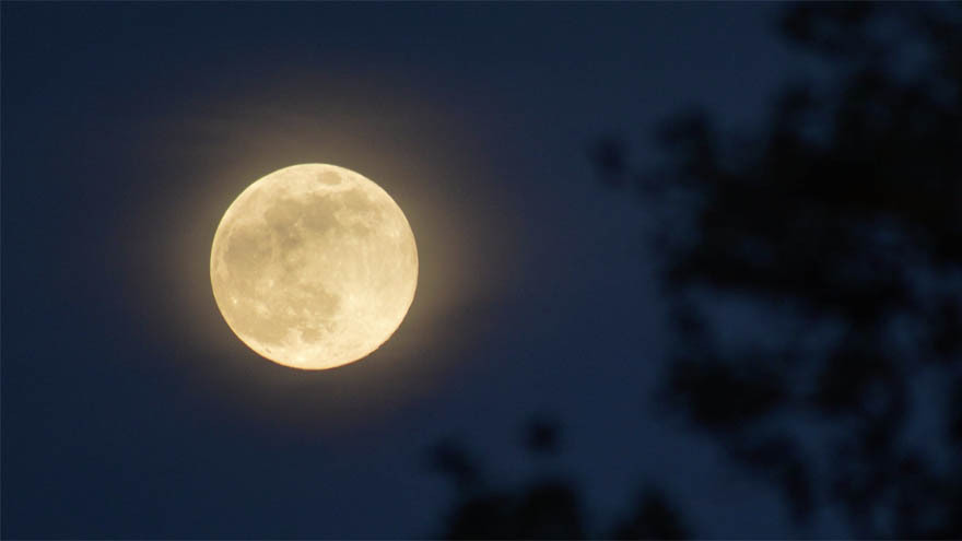 Why Are Wyomingites Howling at the Moon? | Cowboy State Daily