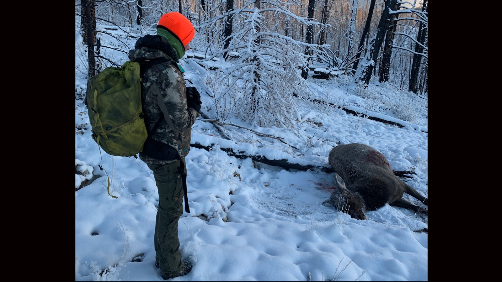 Hunter 2 28 23