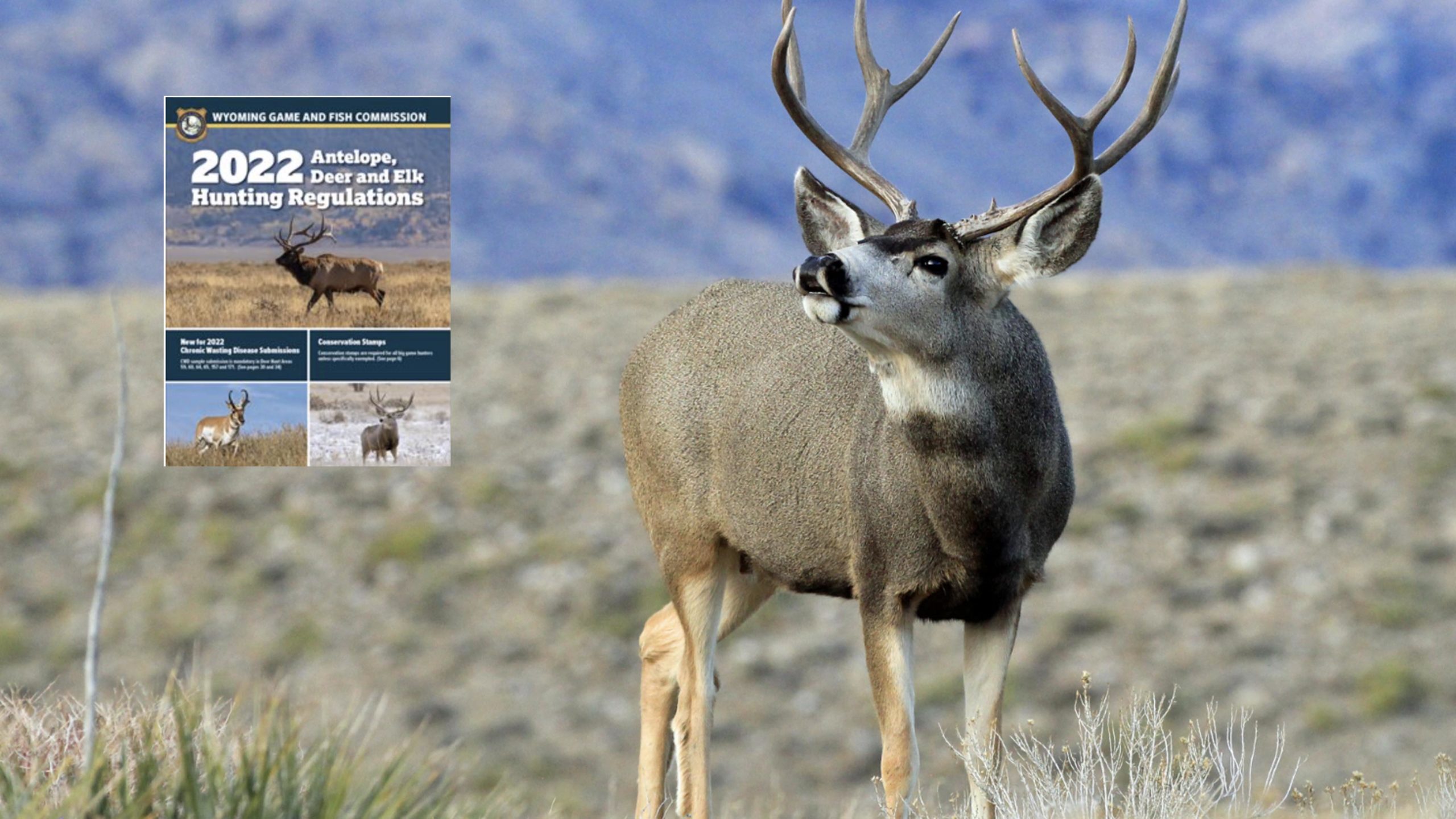 Huntin regs 8 2 22 scaled