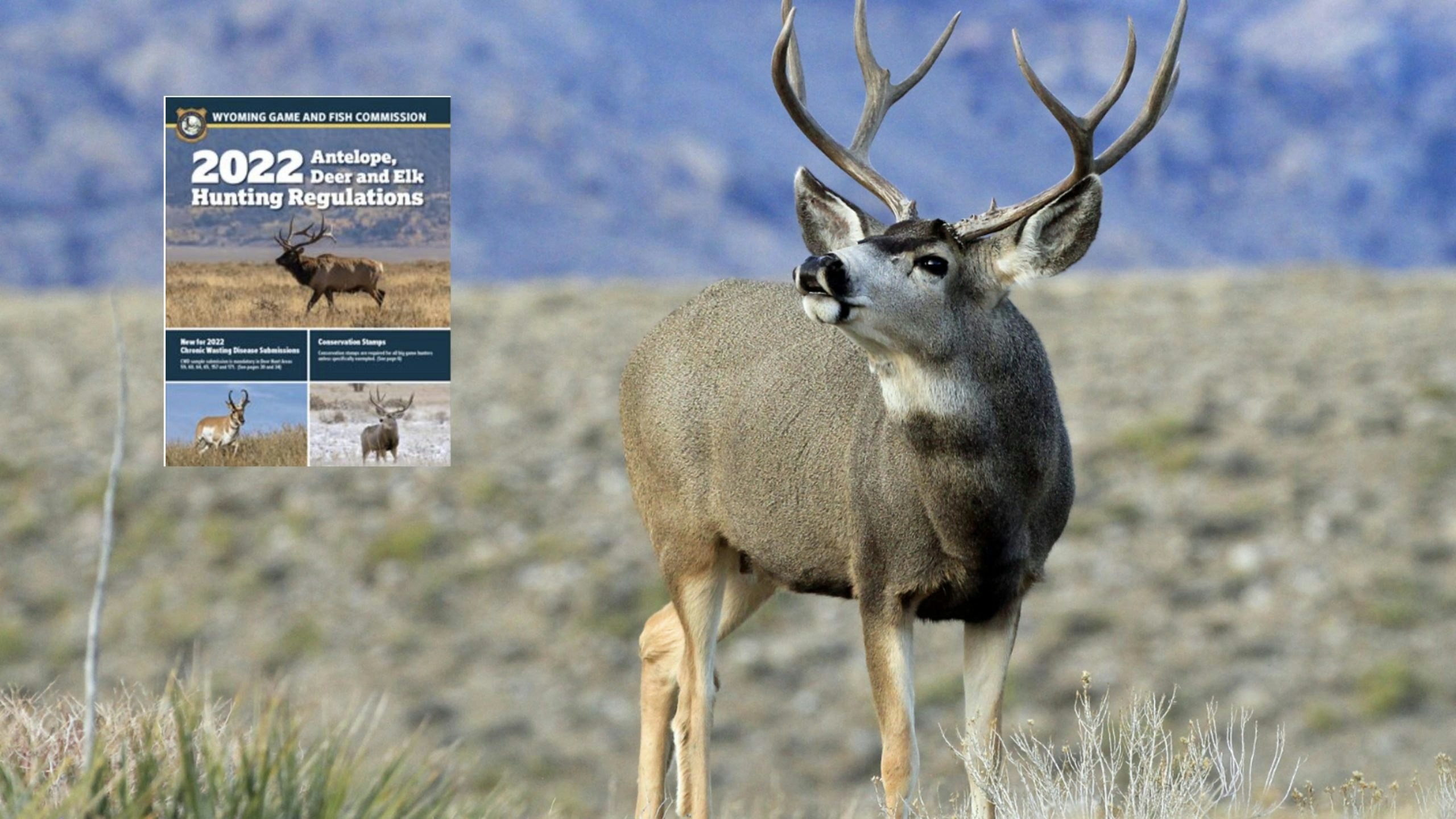 Huntin regs 8 2 22 scaled