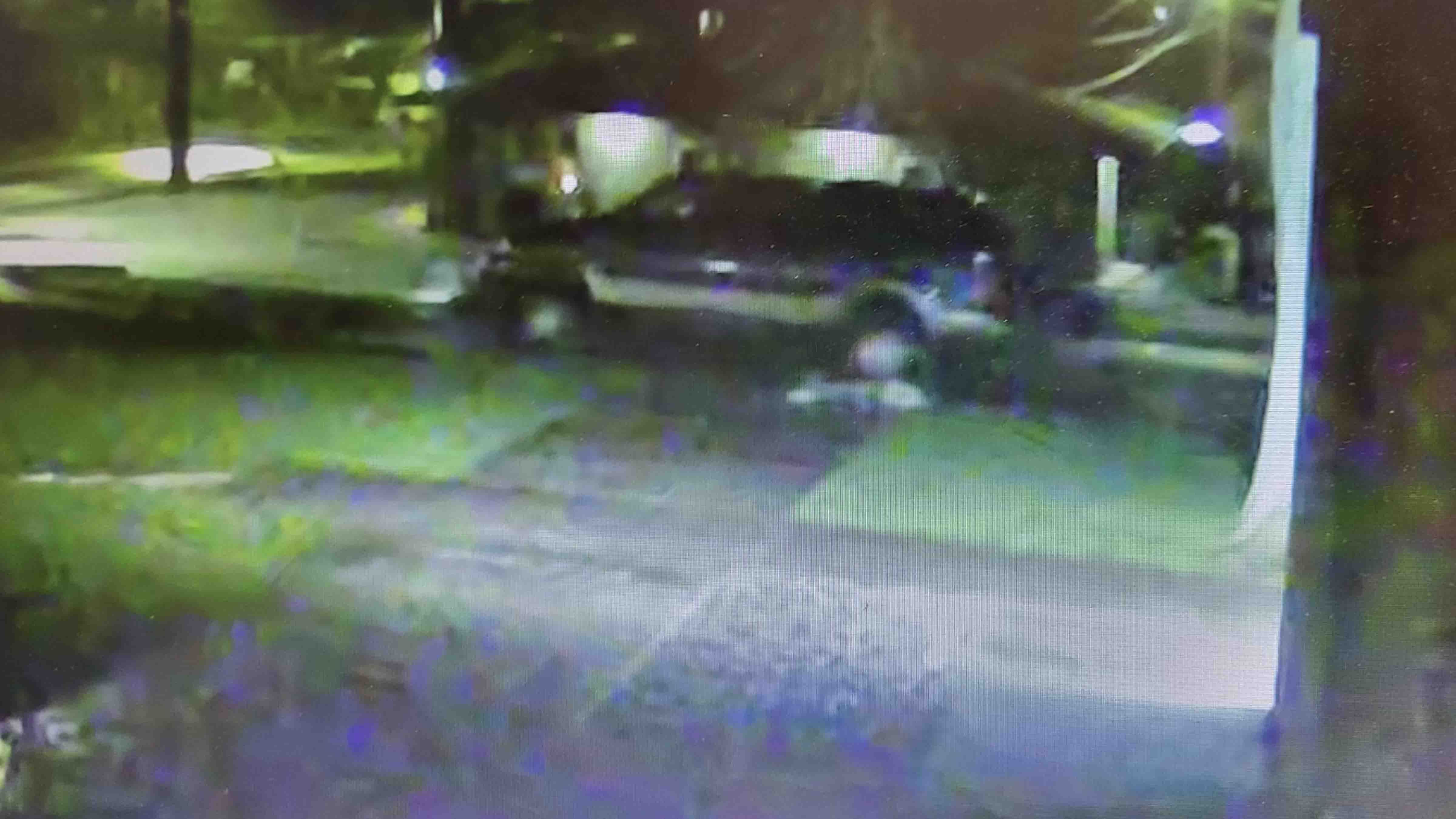 Surveillance footage of poaching incident at Orofino Elementary School