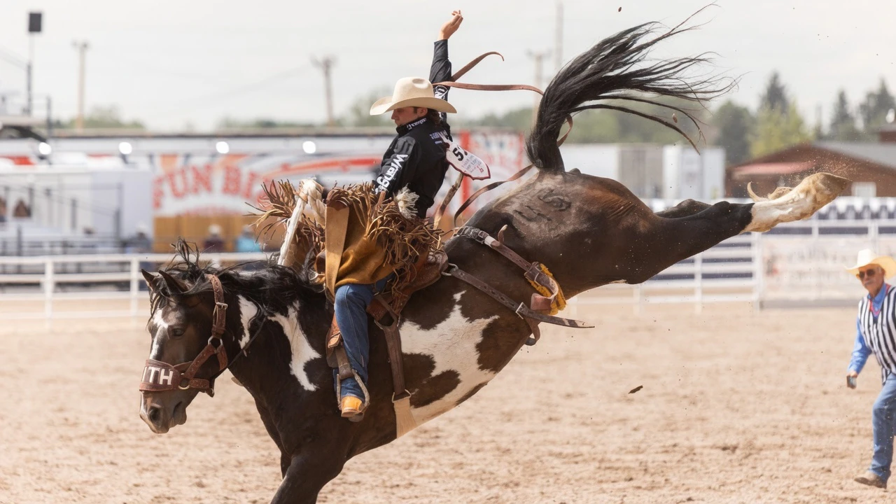 Q Taylor, former Casper College student, from Nanton, AB, in the saddle bronc riding at the Cheyenne Frontier Days Rodeo on Wednesday, July 22.