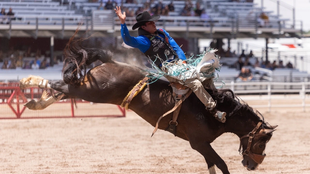 Jayco Roper from Oktaha, OK, in the bareback riding at the Cheyenne Frontier Days Rodeo on Wednesday, July 22.