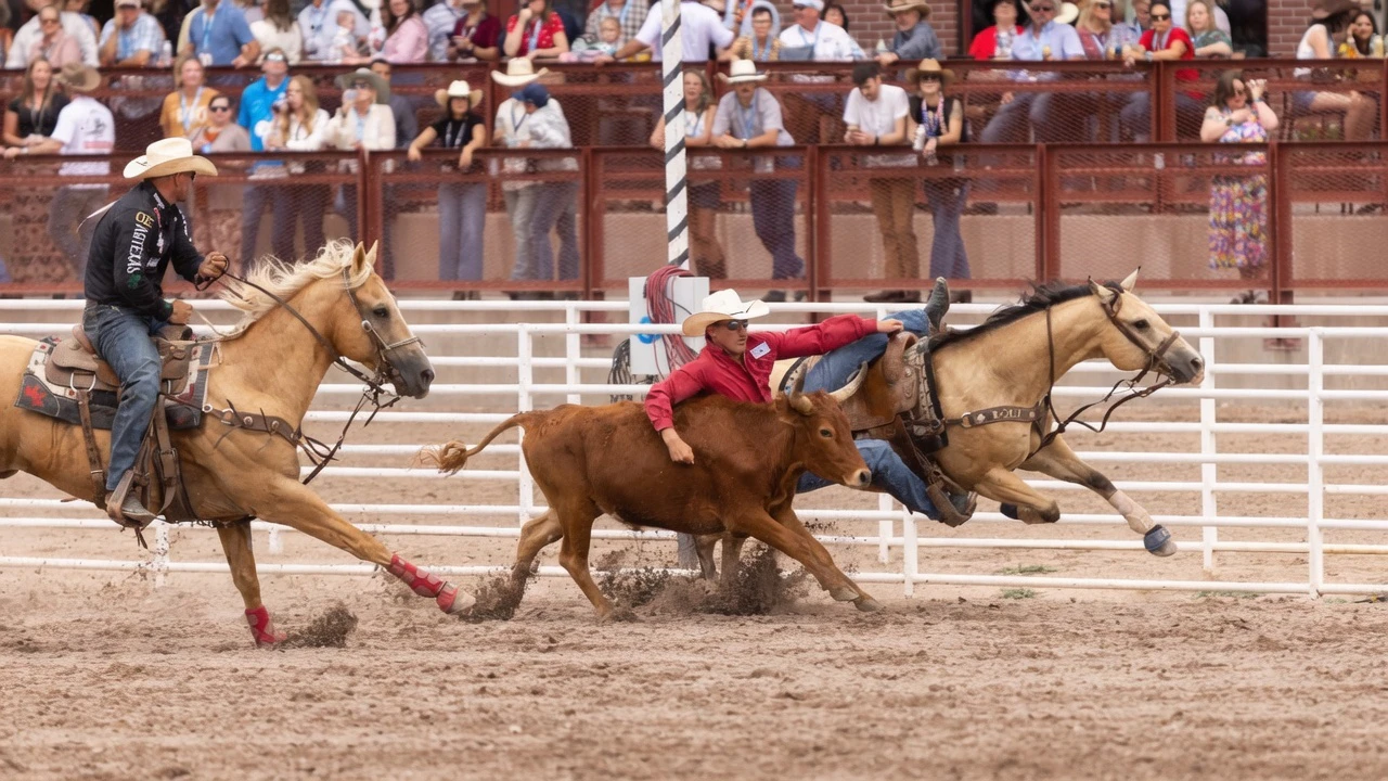 James Banister from San Luis Obispo, CA, in the steer wrestling at the Cheyenne Frontier Days Rodeo on Wednesday, July 22.