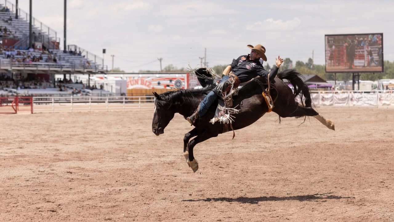 Leighton Berry from Weatherford, TX, in the bareback riding at the Cheyenne Frontier Days Rodeo on Wednesday, July 22.