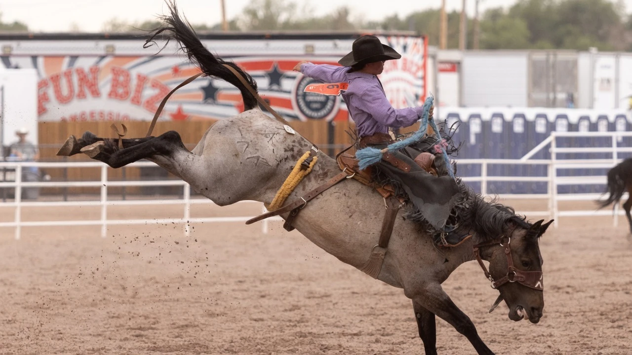 Trey Shadlock from Torrington, WY, in the rookie saddle bronc riding at the Cheyenne Frontier Days Rodeo on Wednesday, July 22.