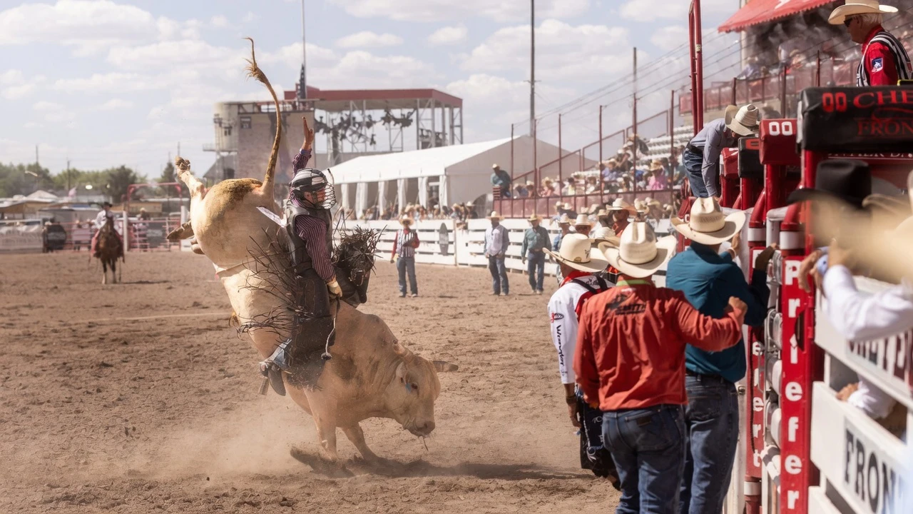 Colton Fritzlan from Rifle, CO, in the bull riding at the Cheyenne Frontier Days rodeo on Friday, July 17.