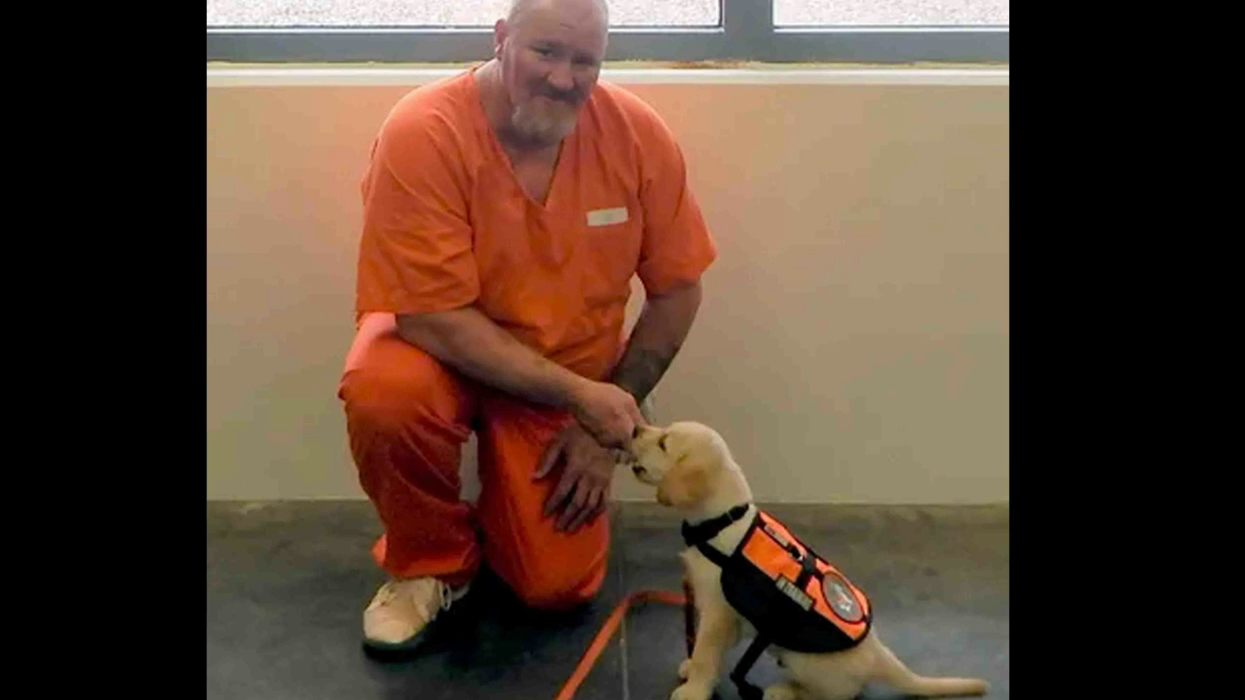 Inmate dog 5 20 22 scaled