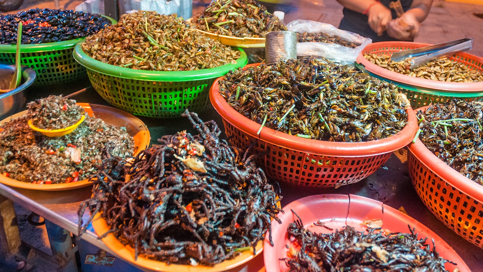 Insect market