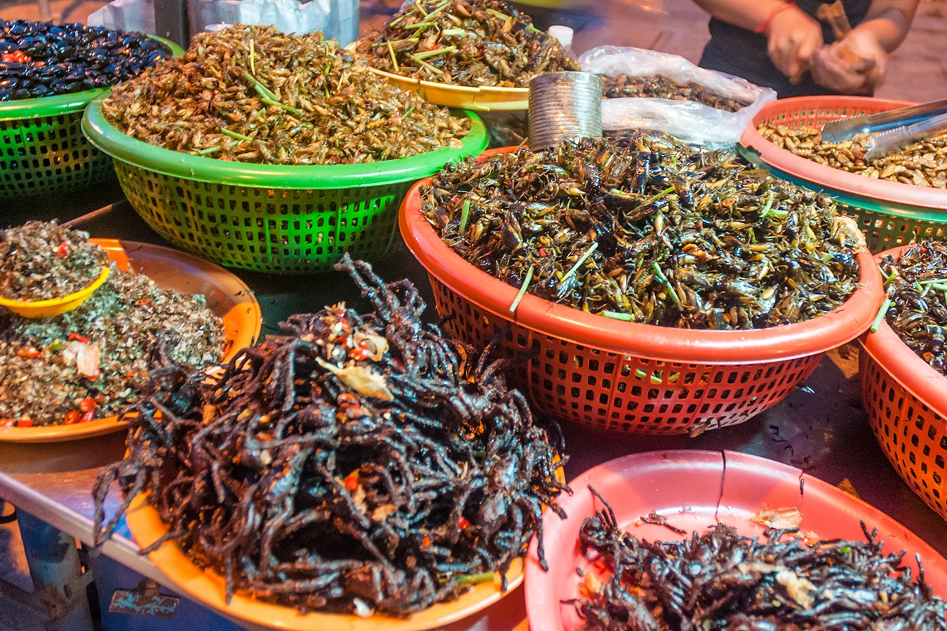 Insect market