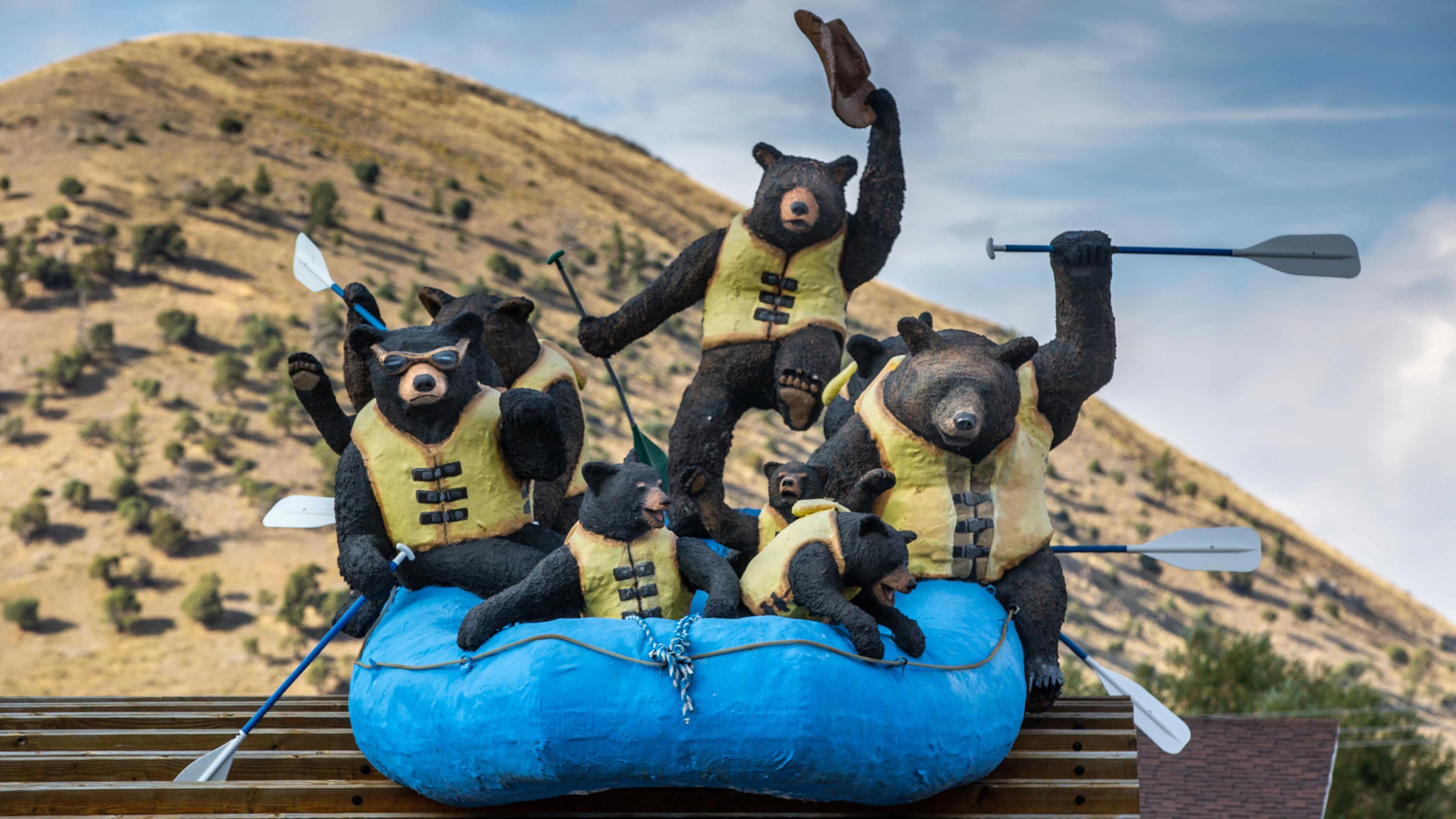 A wild, funny group of bears riding in a raft on the roof of a river rafting company in downtown is viewed in Jackson, Wyoming.